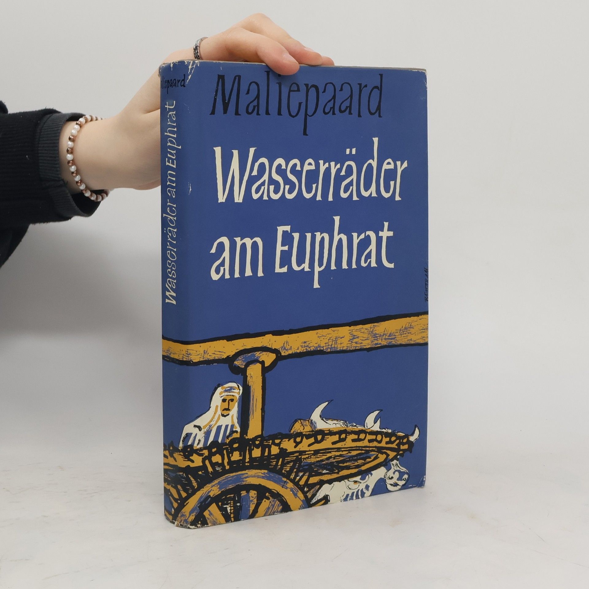 C.H.J Maliepaard Wasserräder am Euphrat