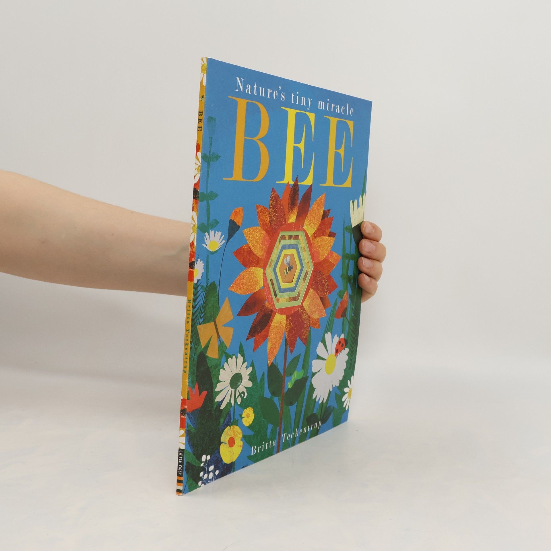 Britta Teckentrup Bee