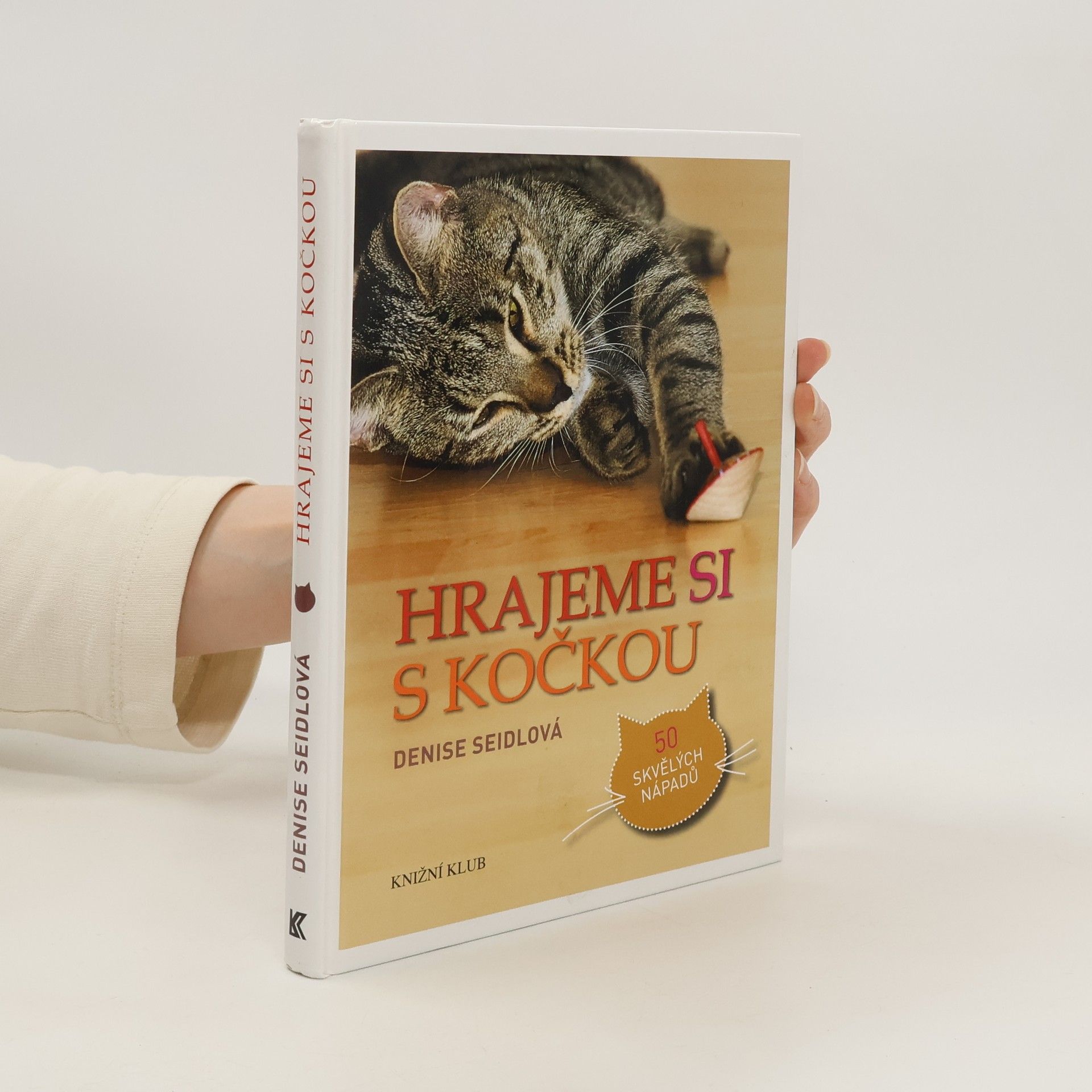 Denise Seidl Hrajeme si s kočkou : 50 skvělých nápadů
