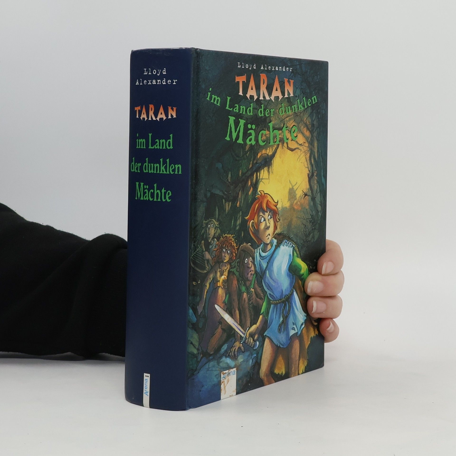 Lloyd Alexander Taran im Land der dunklen Mächte