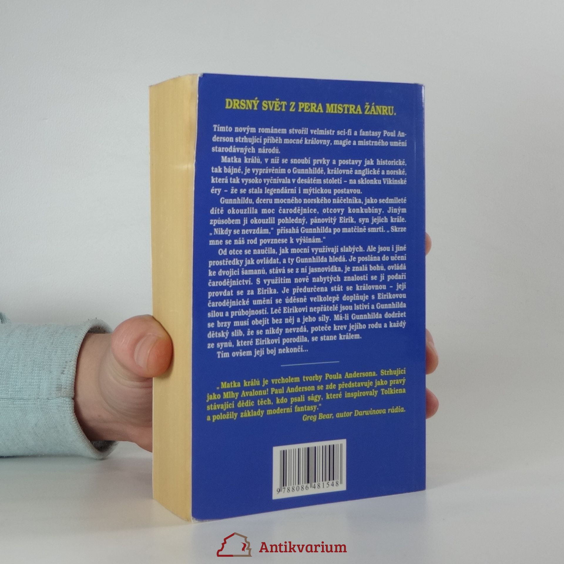 Poul Anderson Matka králů
