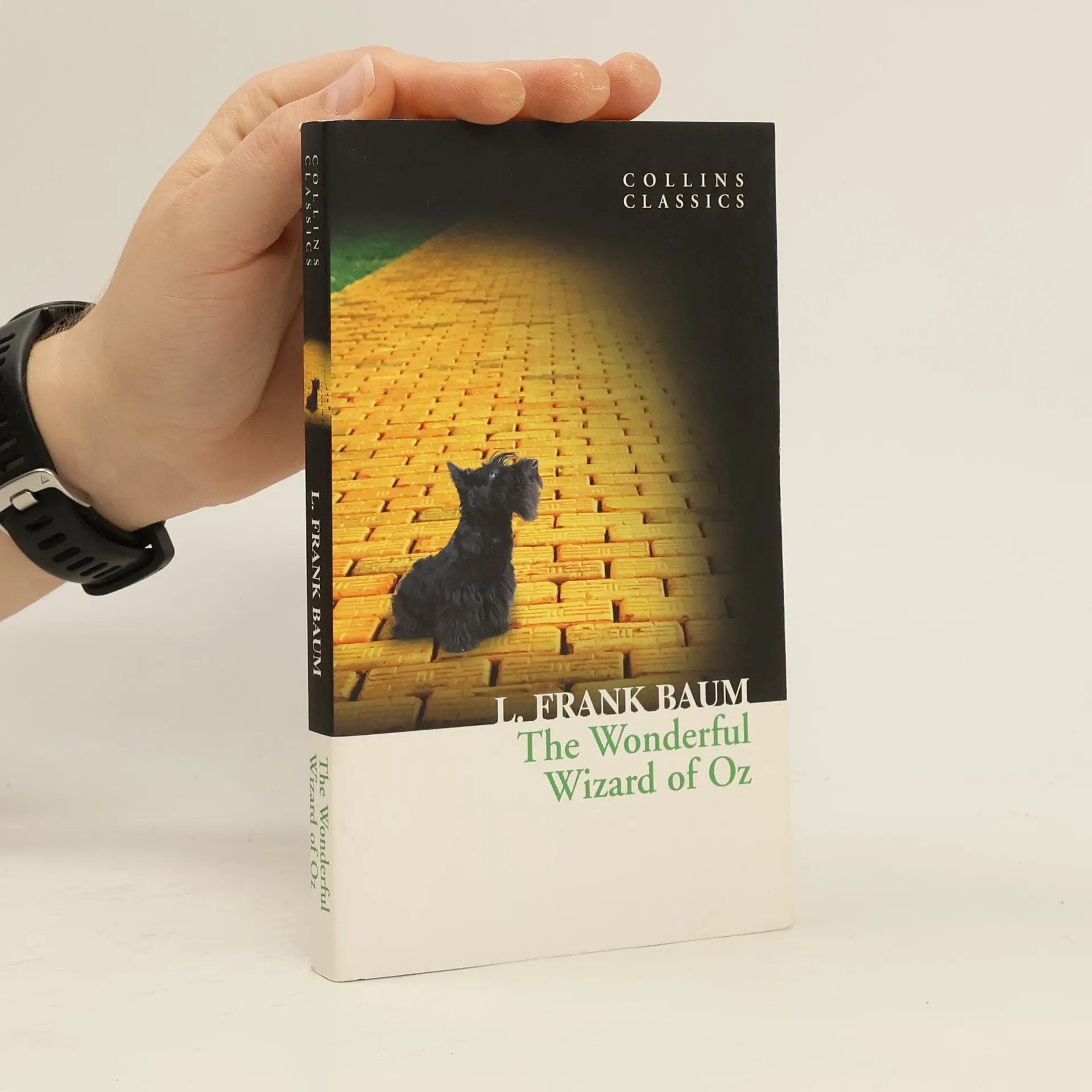 The Wonderful Wizard of Oz | Kniha | Lyman Frank Baum | EN