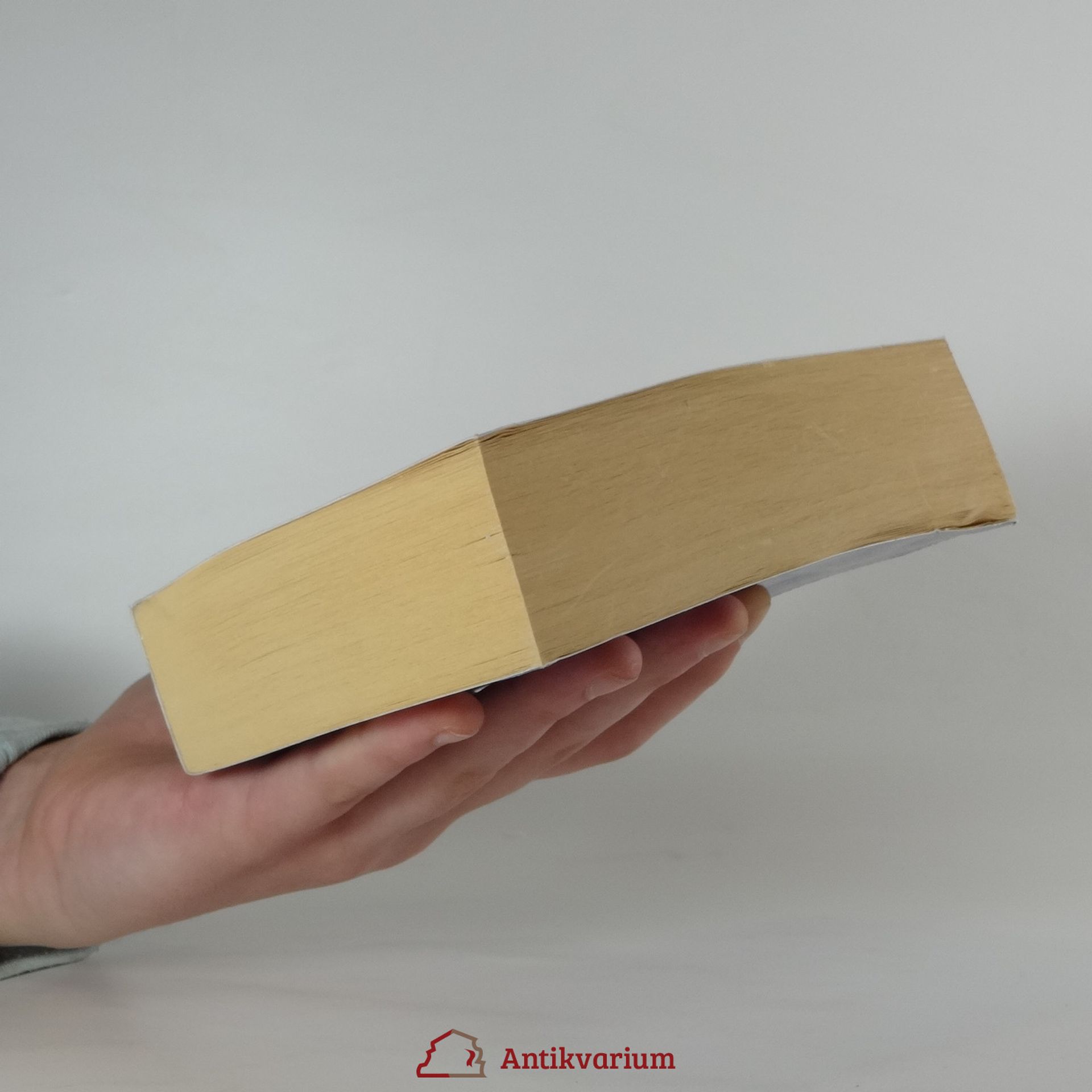 Poul Anderson Matka králů