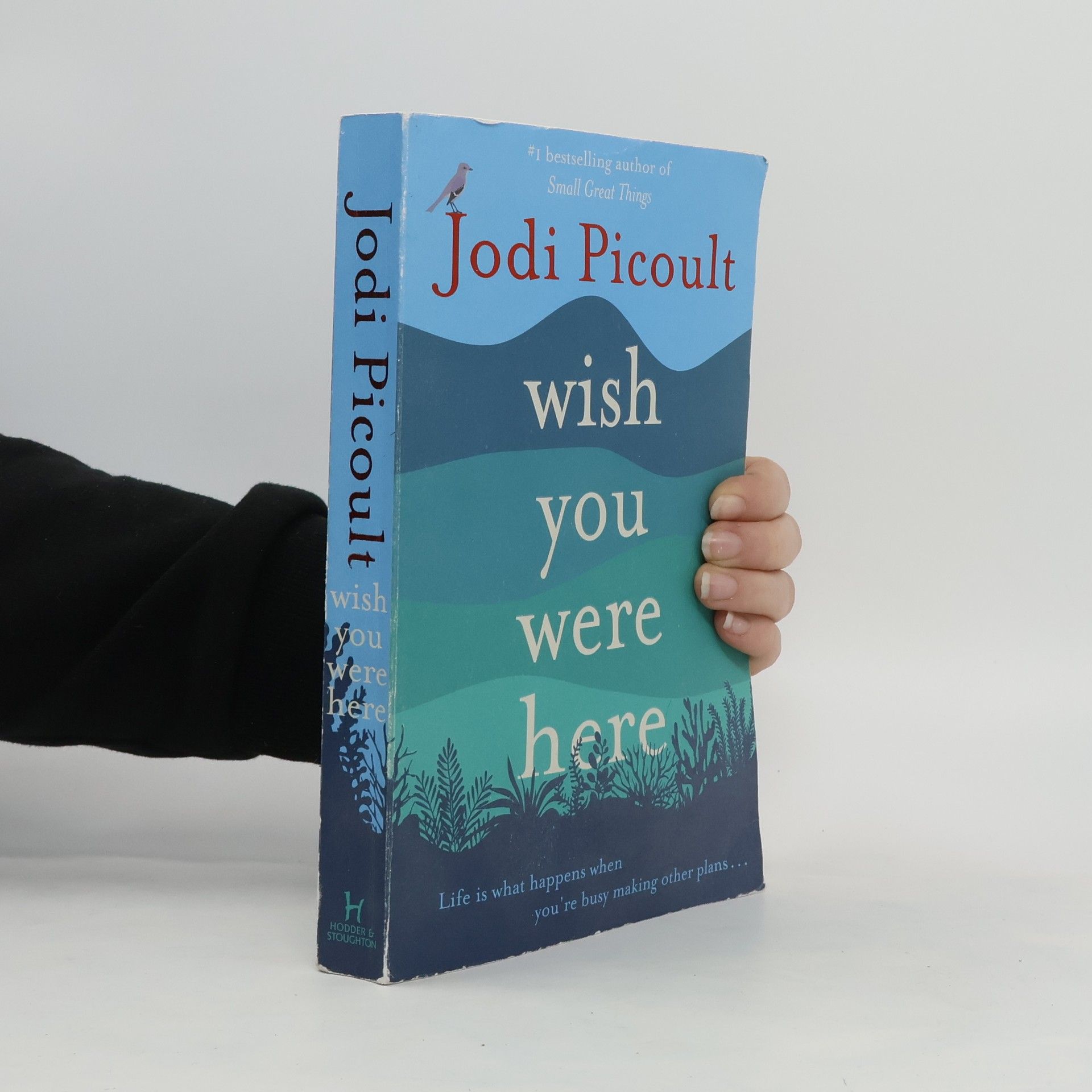 Jodi Picoult Wish You Were Here