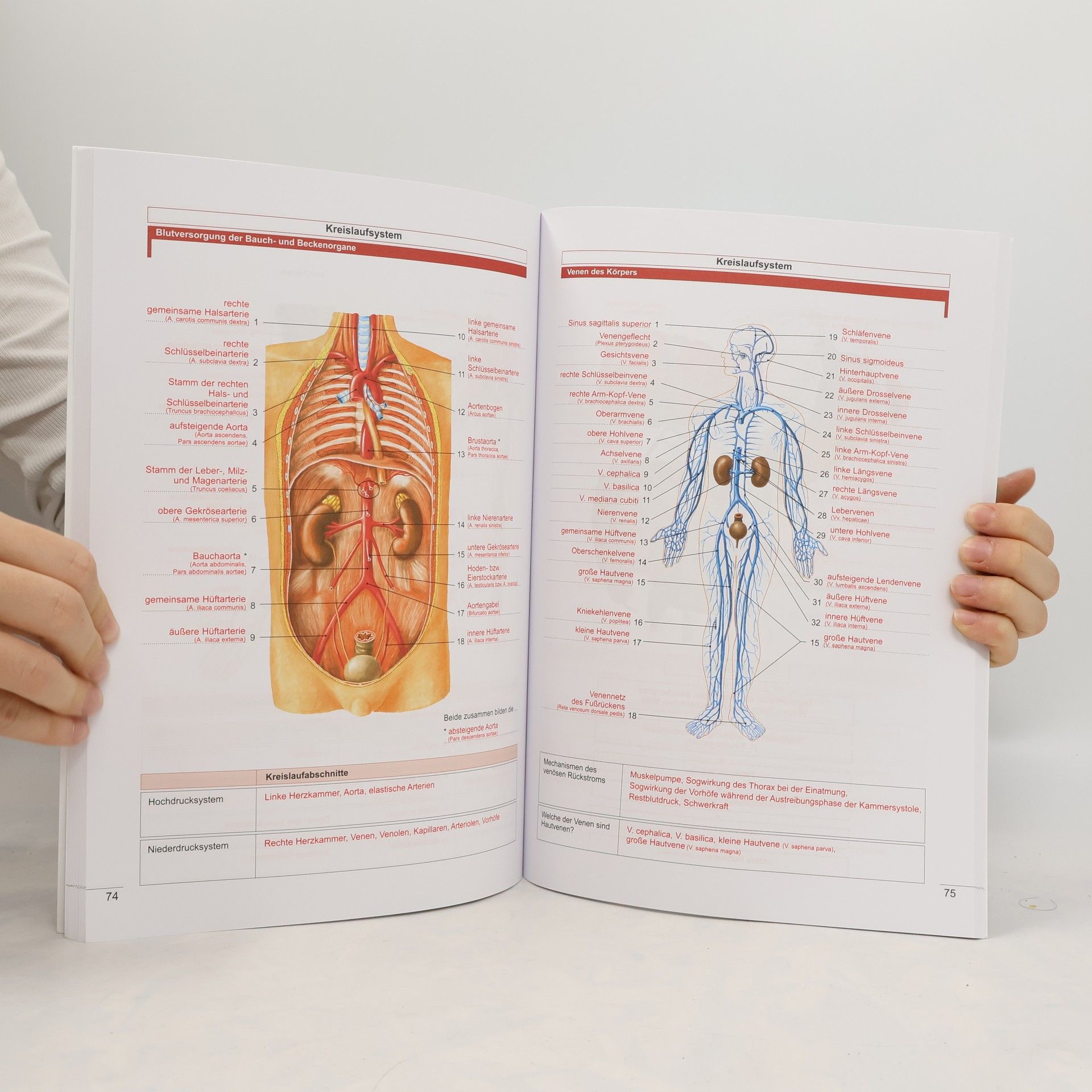 Arbeitsbuch Anatomie - Physiologie