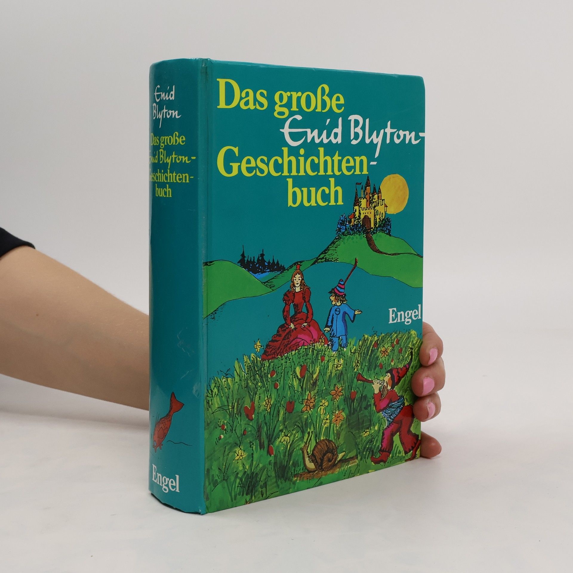 Enid Blyton Das große Enid Blyton-Geschichtenbuch