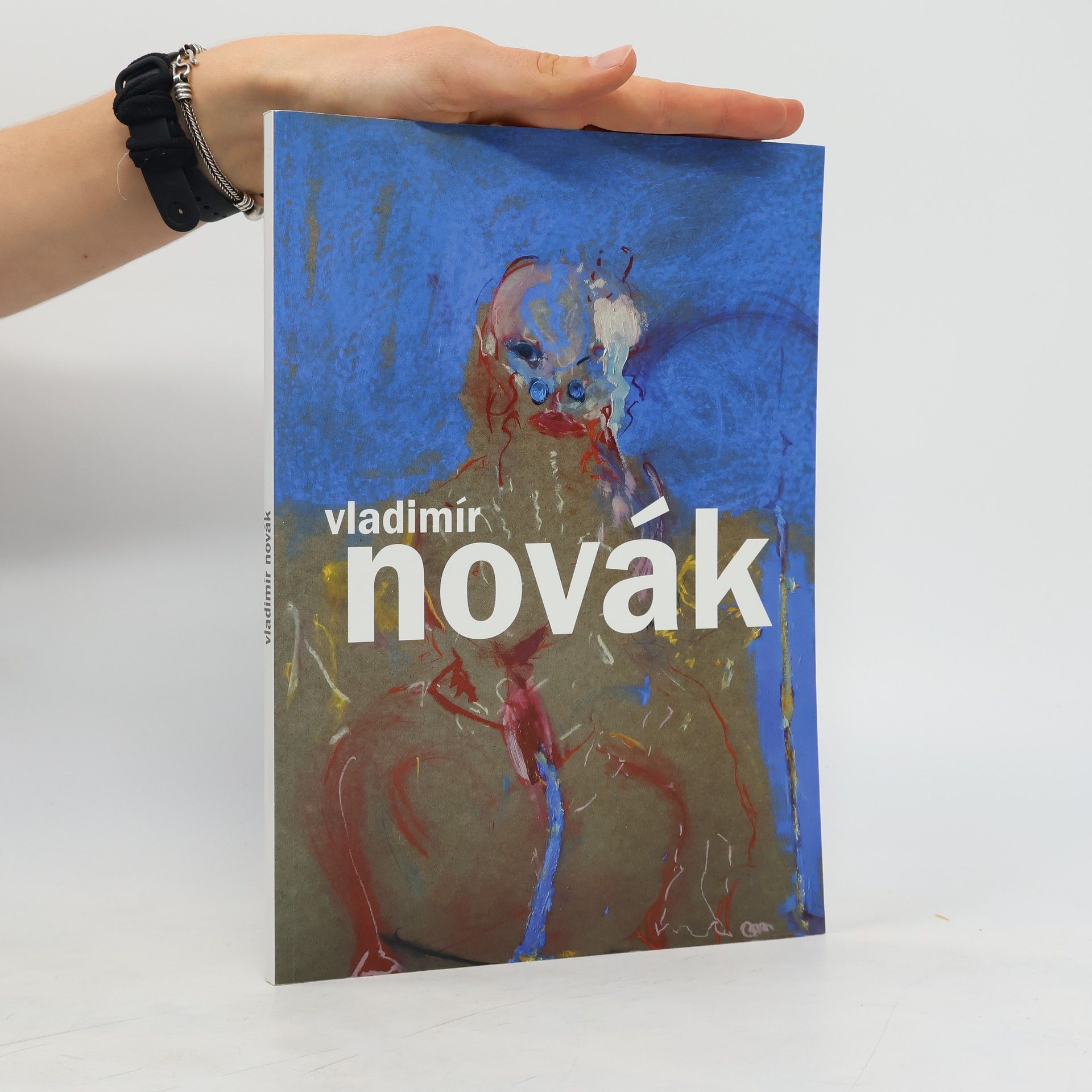 Josef Hlaváček Vladimír Novák