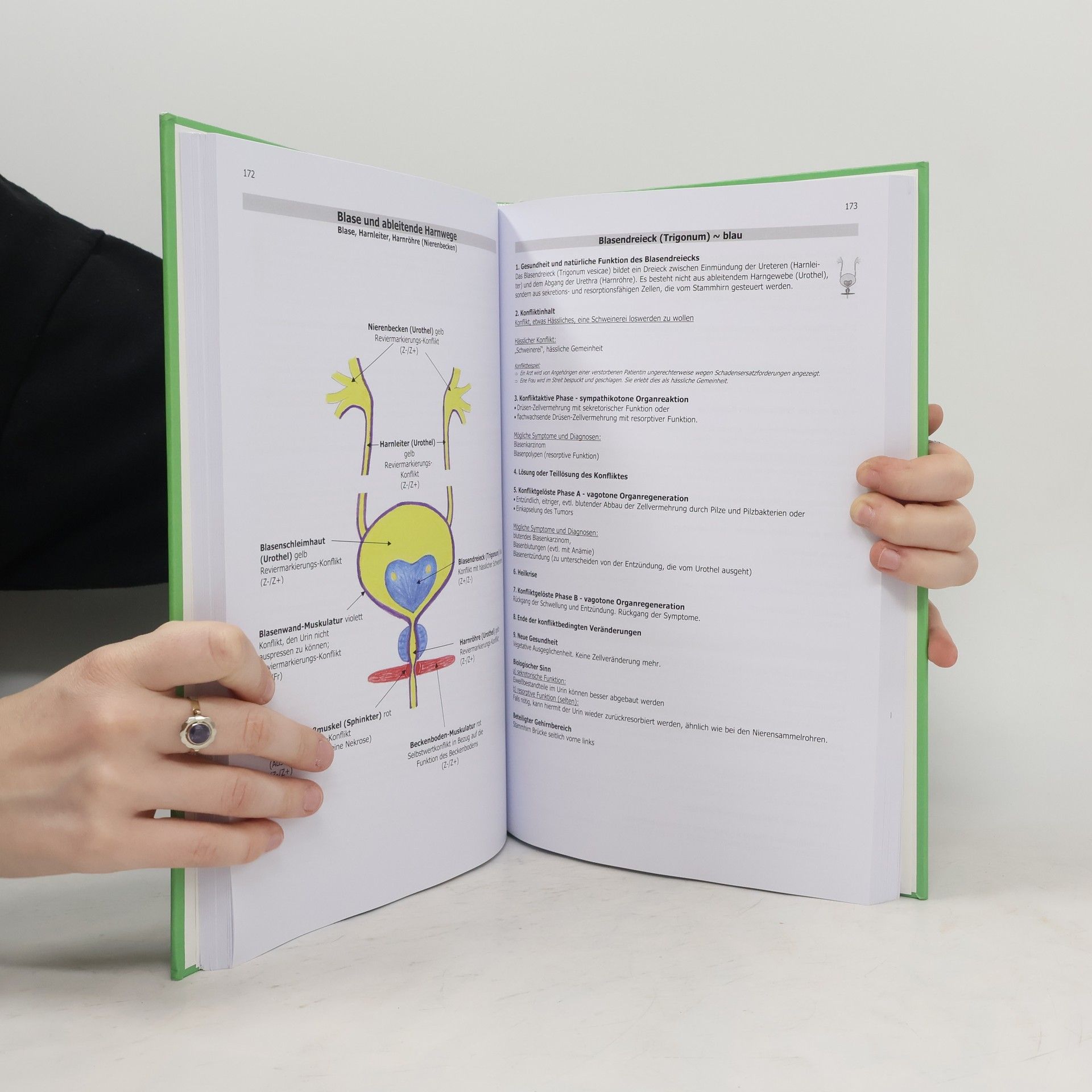 Rainer Körner Lehrbuch für Biologisches Heilwissen