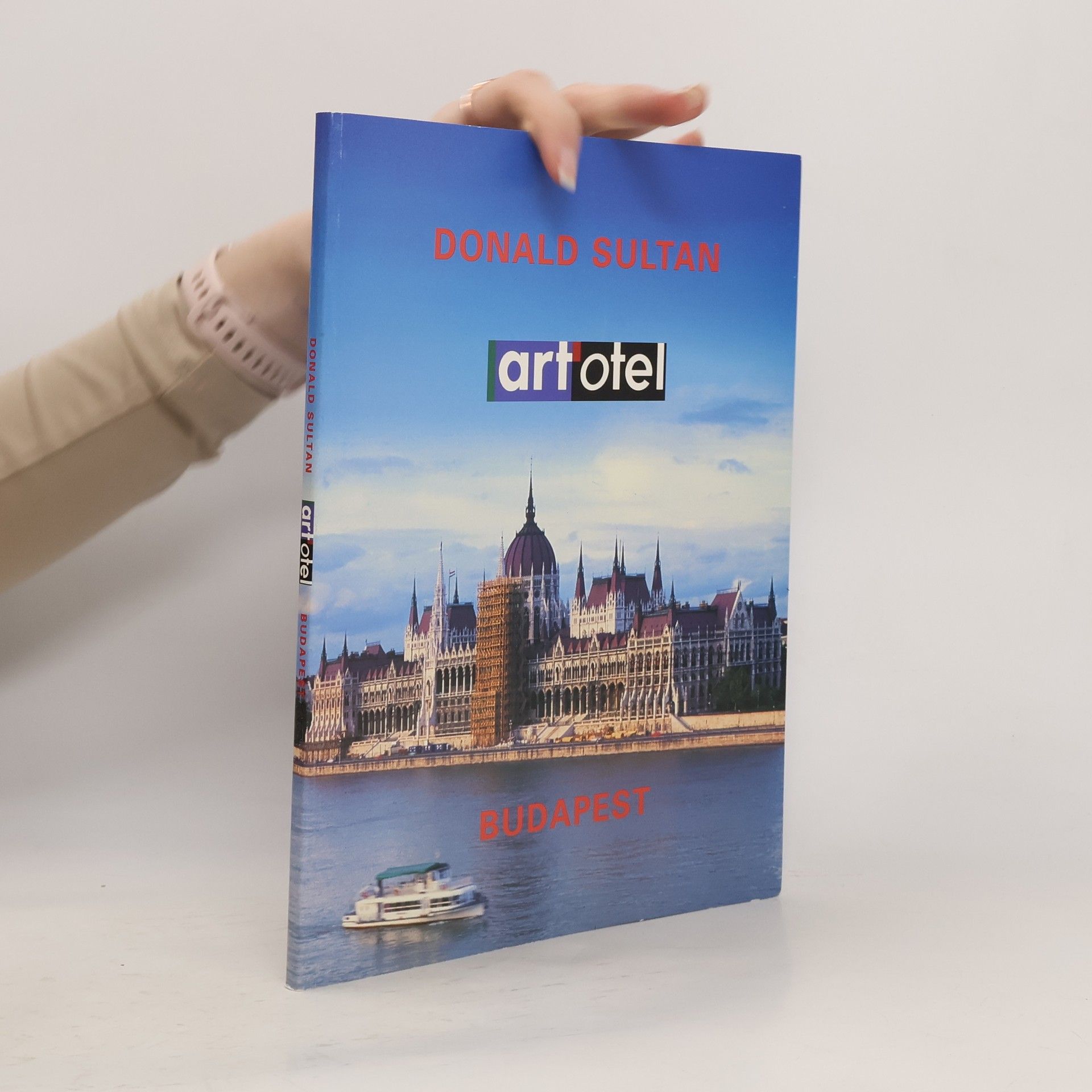 Donald Sultan Budapest