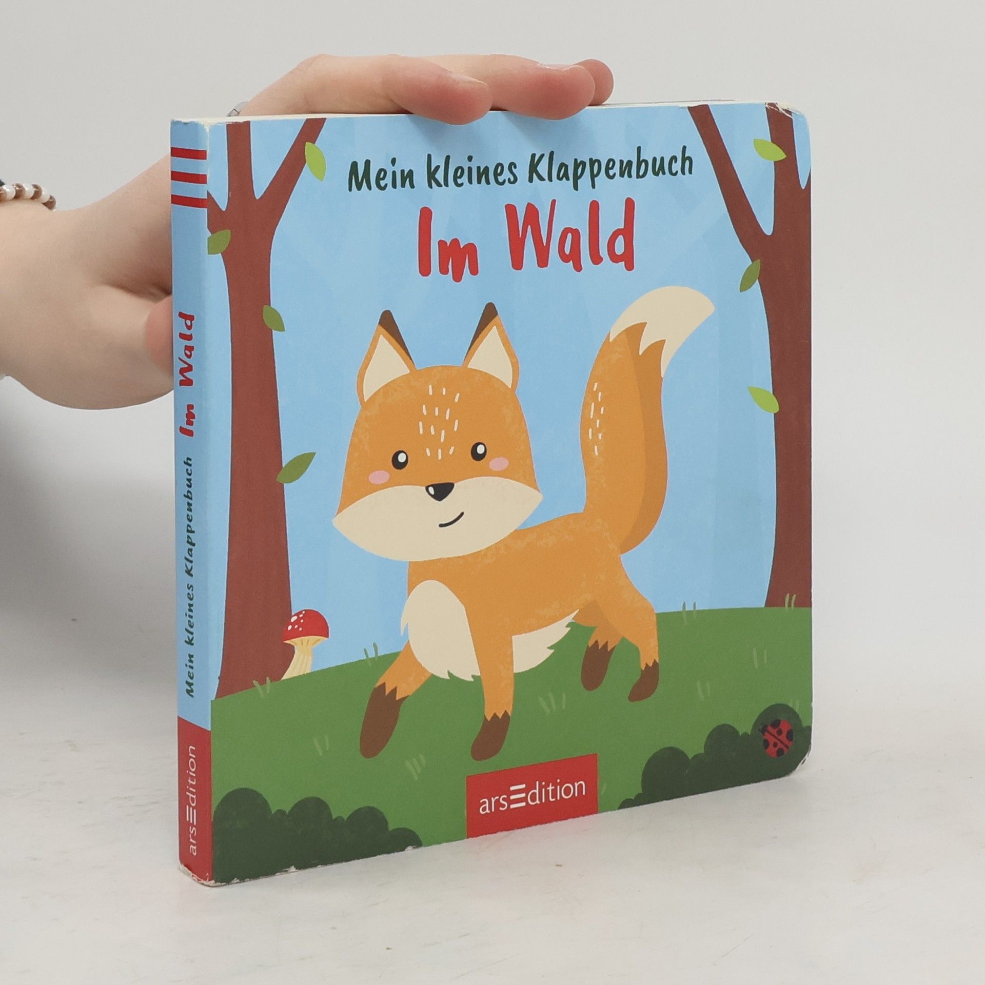 Anan Wainakh Mein kleines Klappenbuch - Im Wald