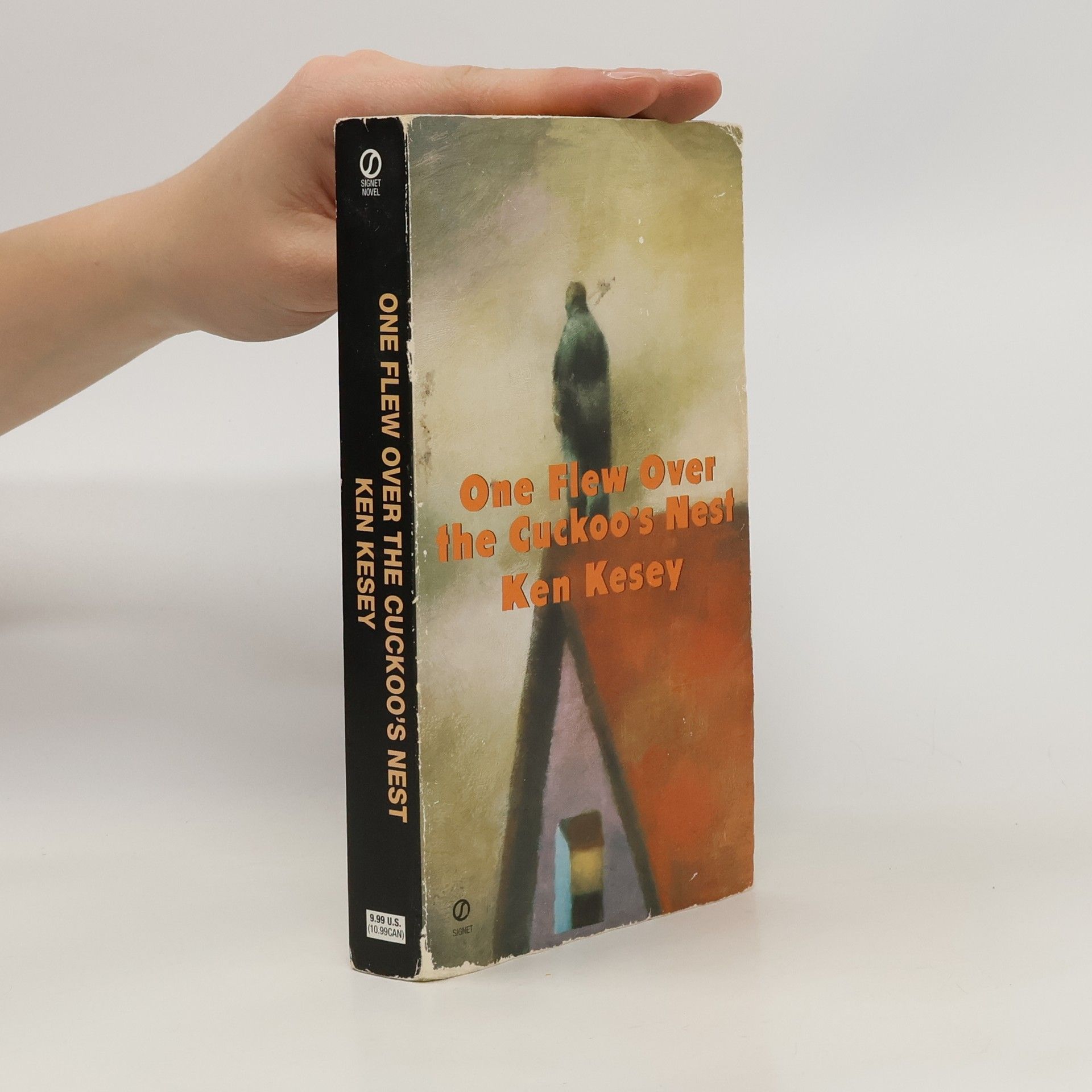 Ken Kesey One Flew Over the Cuckoo's Nest