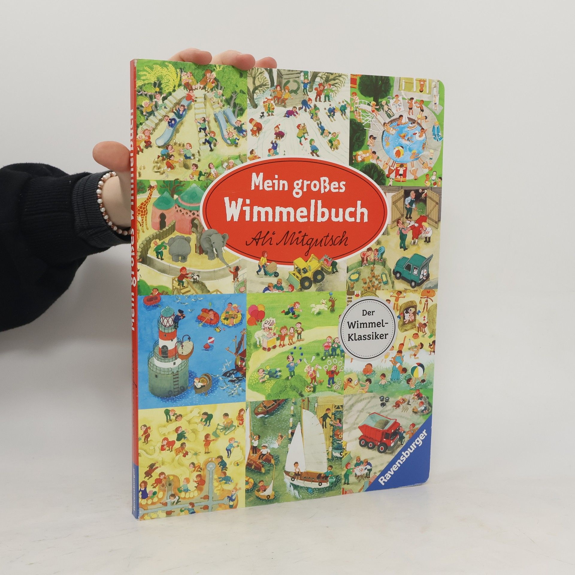 Ali Mitgutsch Mein großes Wimmelbuch