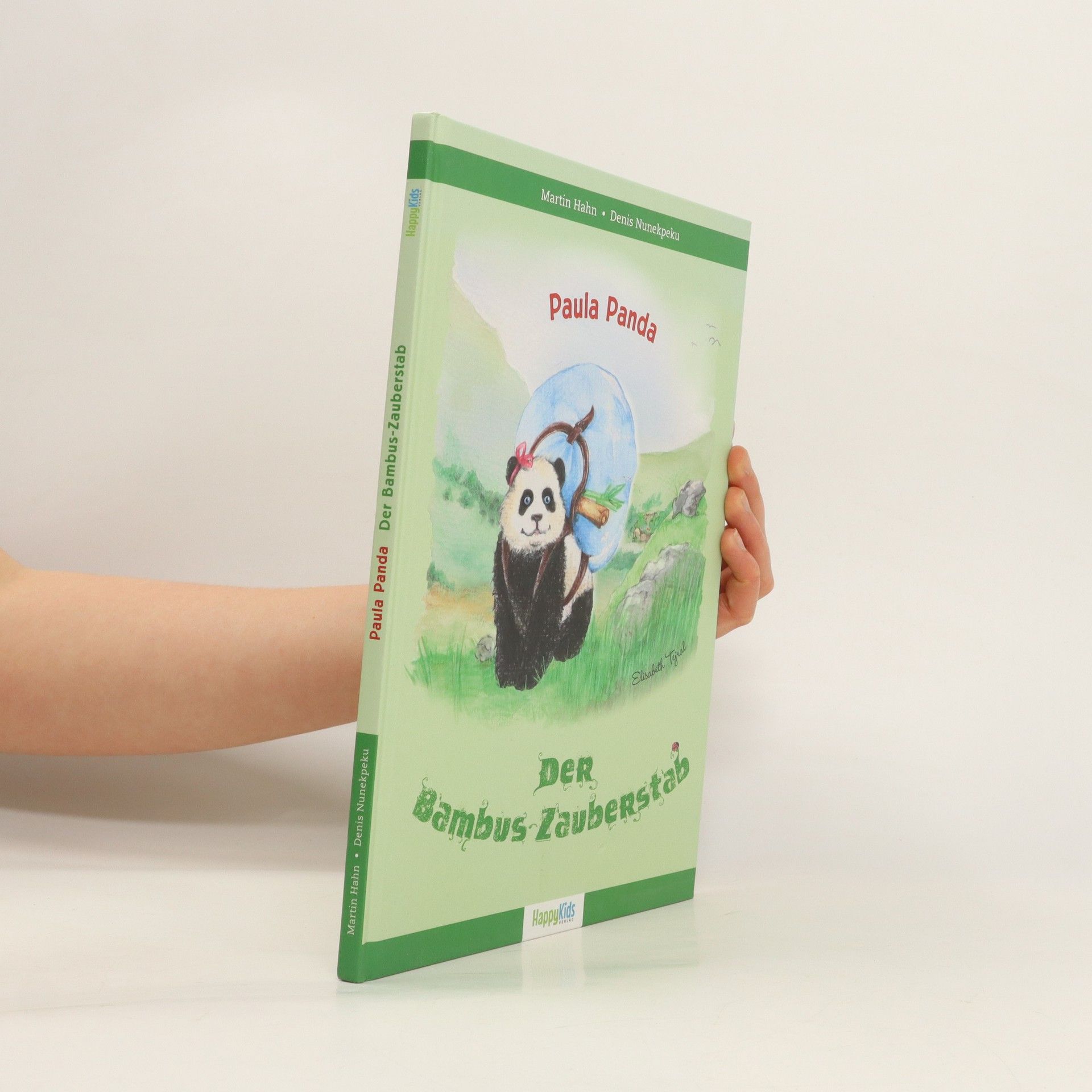 Martin Hahn Paula Panda - der Bambus-Zauberstab
