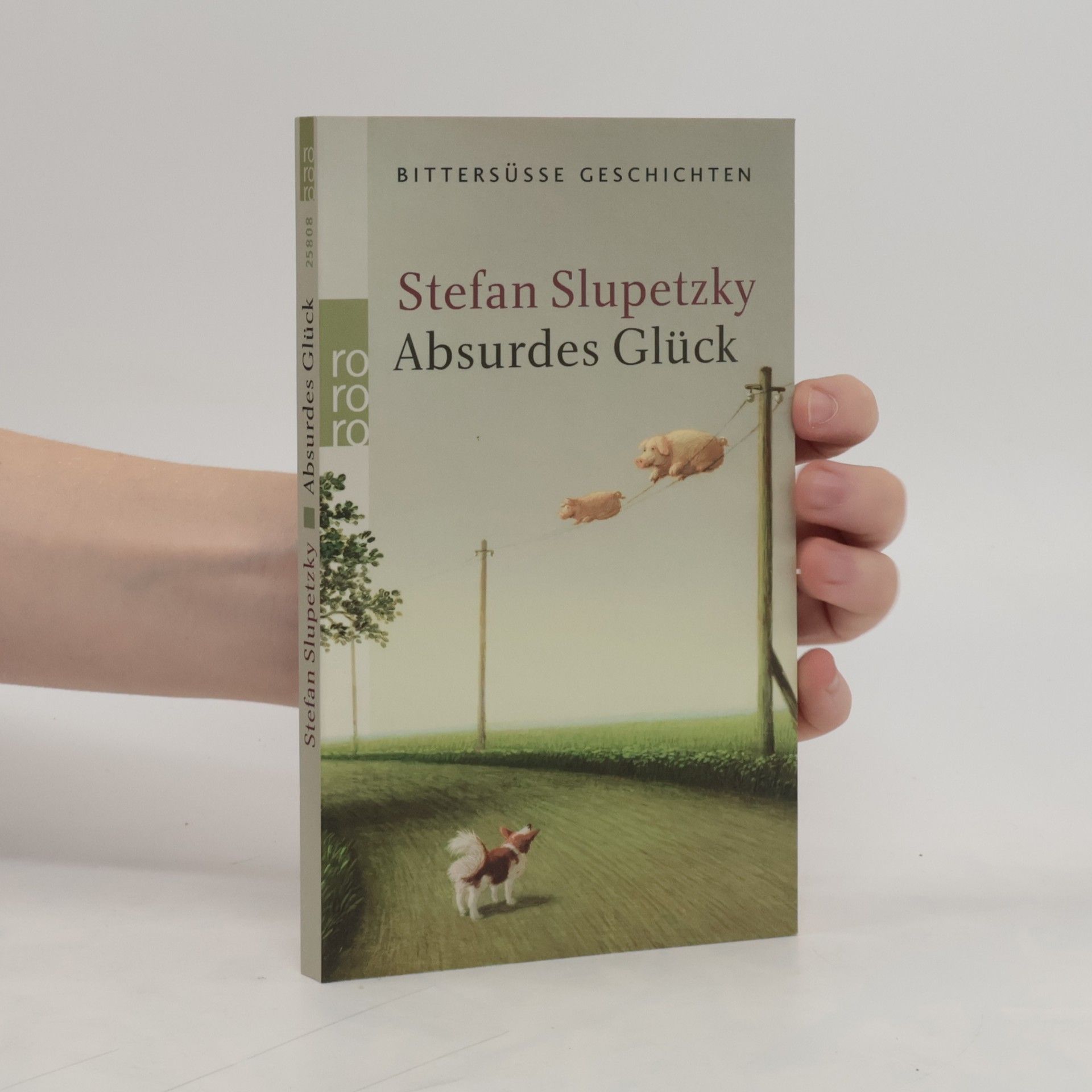 Stefan Slupetzky Absurdes Glück