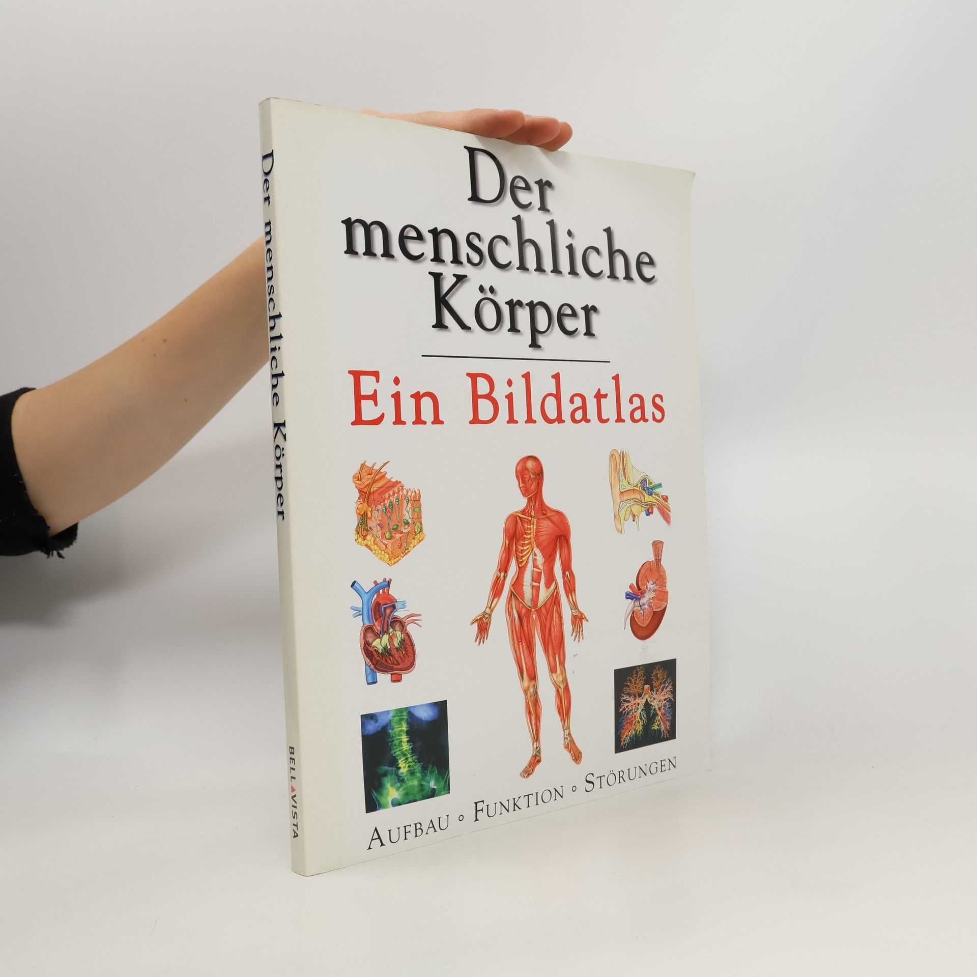 Autorenkollektiv Der menschliche Körper