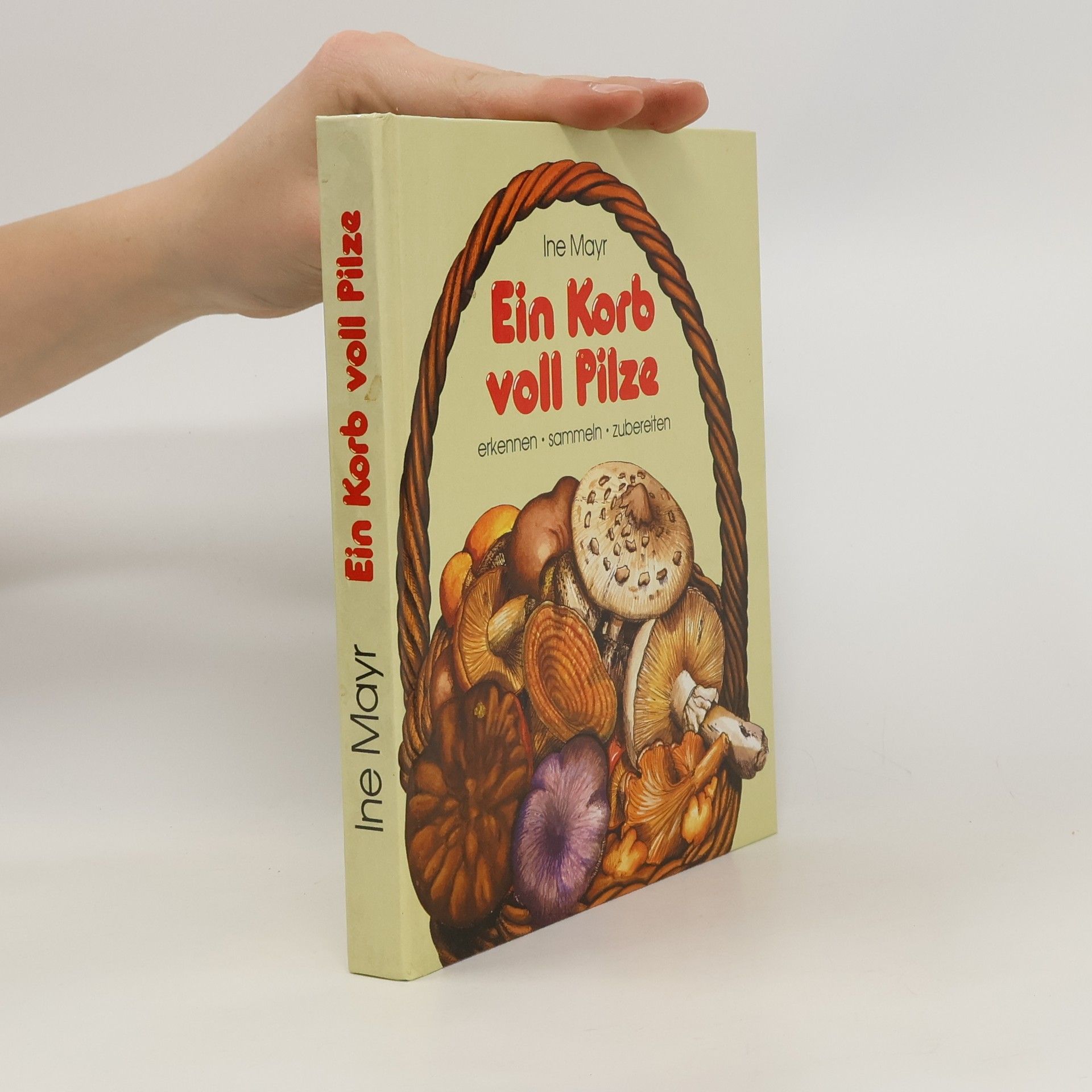 Ine Mayr Ein Korb voll Pilze