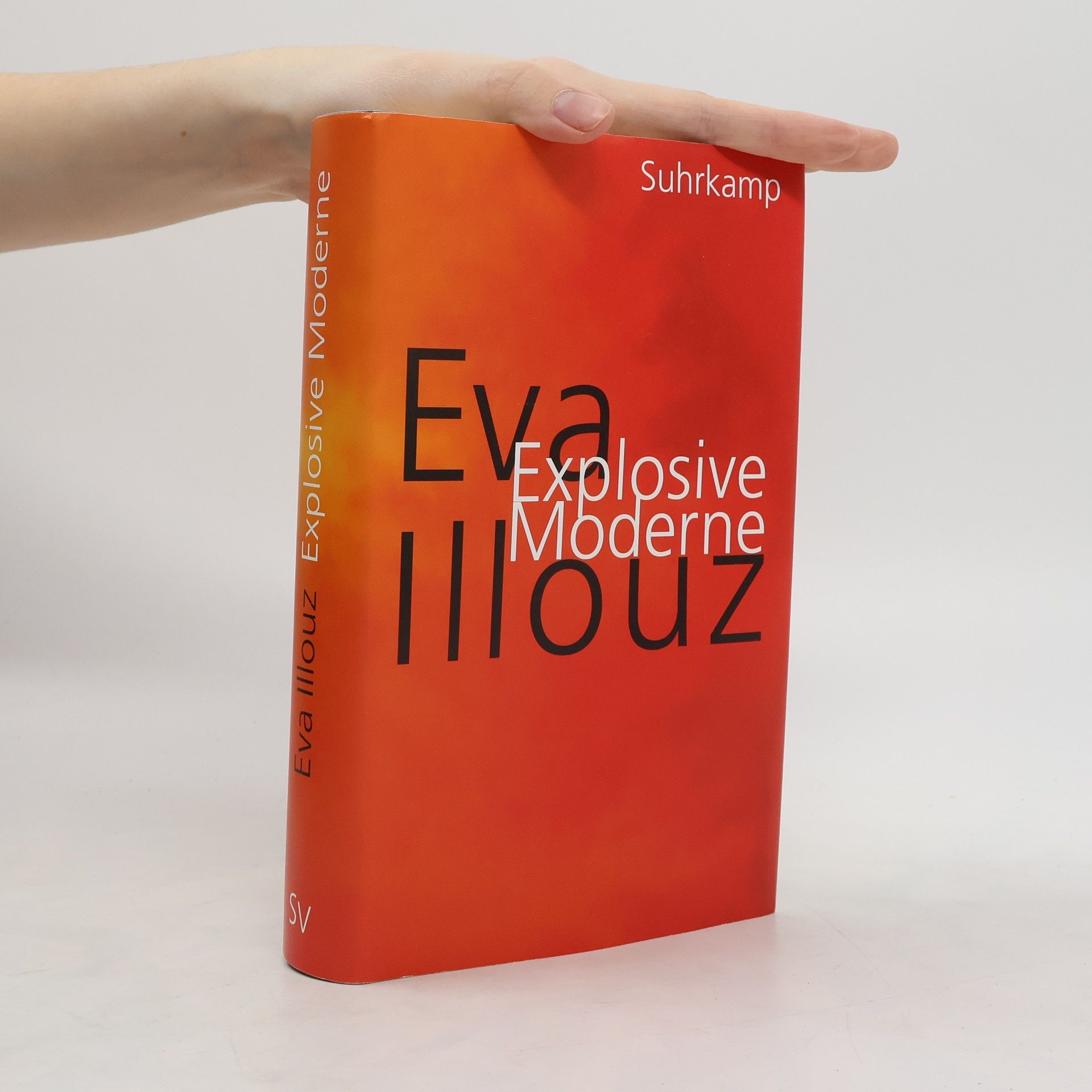 Eva Illouz Explosive Moderne. Eine scharfsinnige Analyse unserer emotionsgeladenen Gegenwart