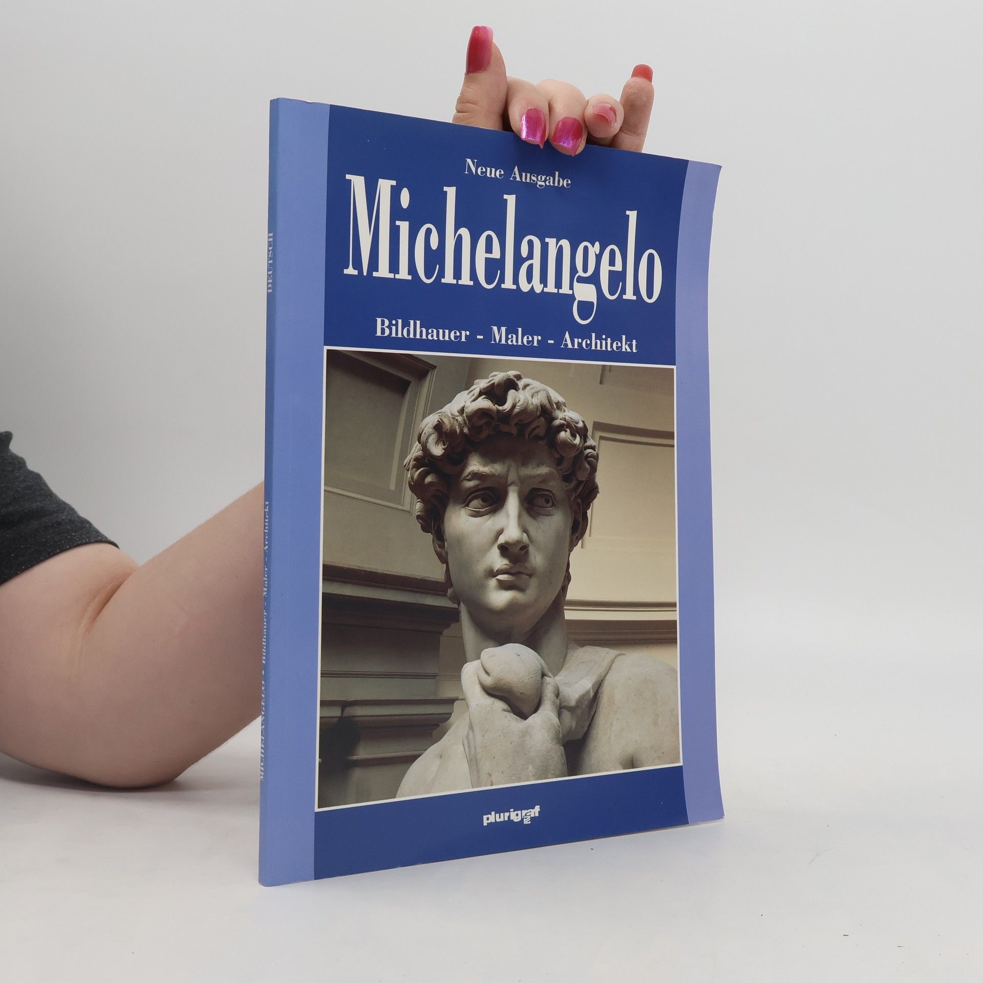 Autorenkollektiv Michelangelo