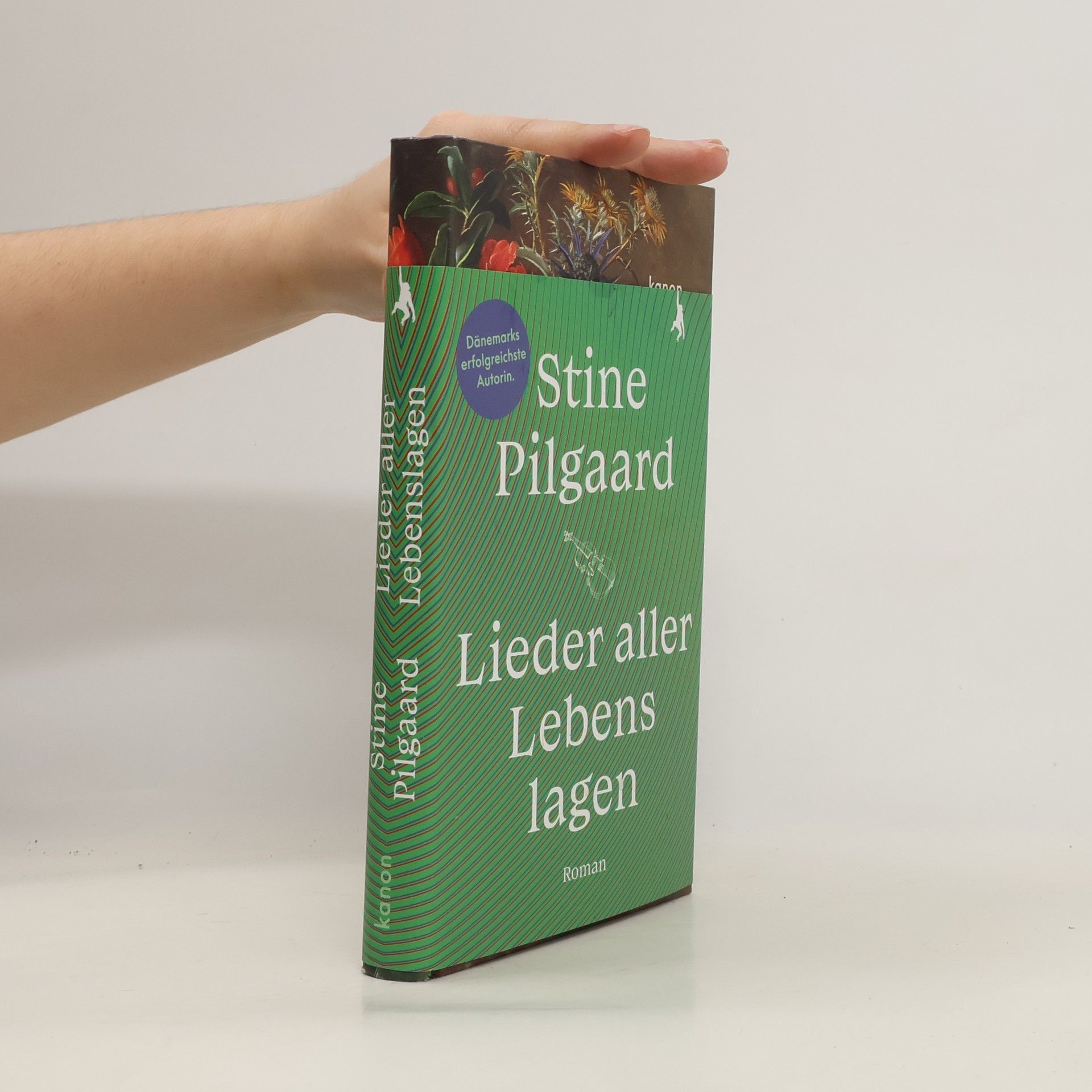 Stine Pilgaard Lieder aller Lebenslagen