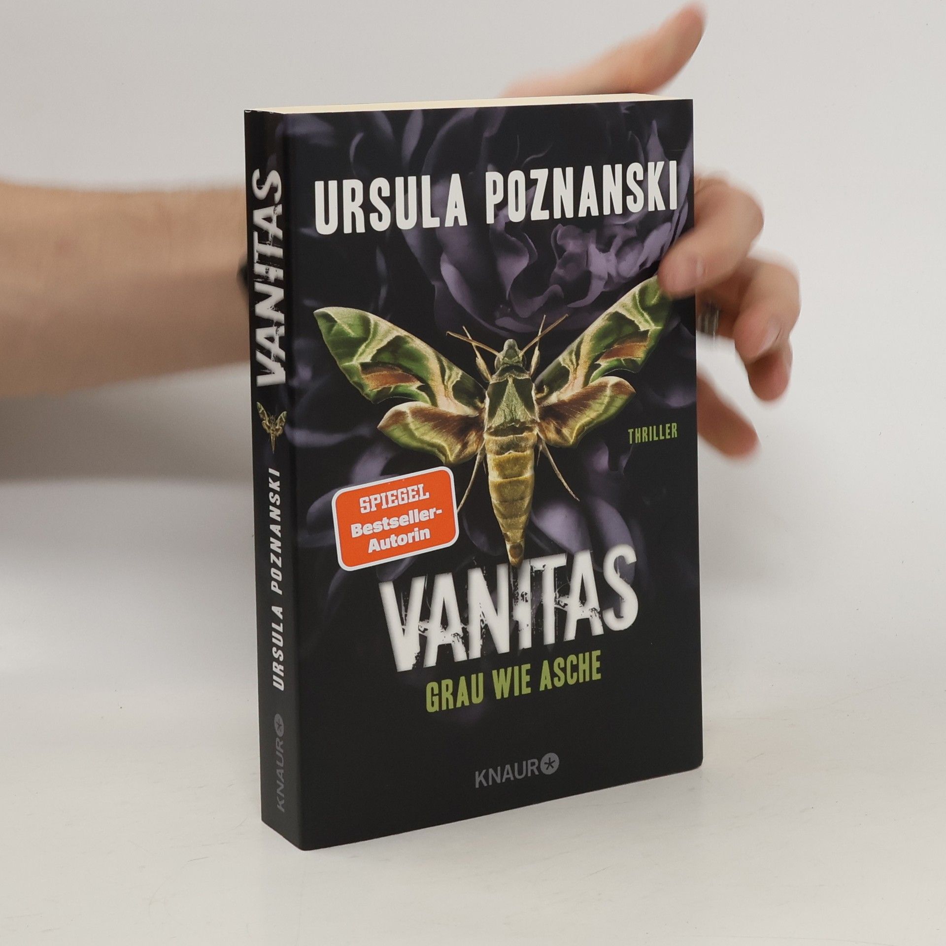 Ursula Poznanski Vanitas. Grau wie Asche