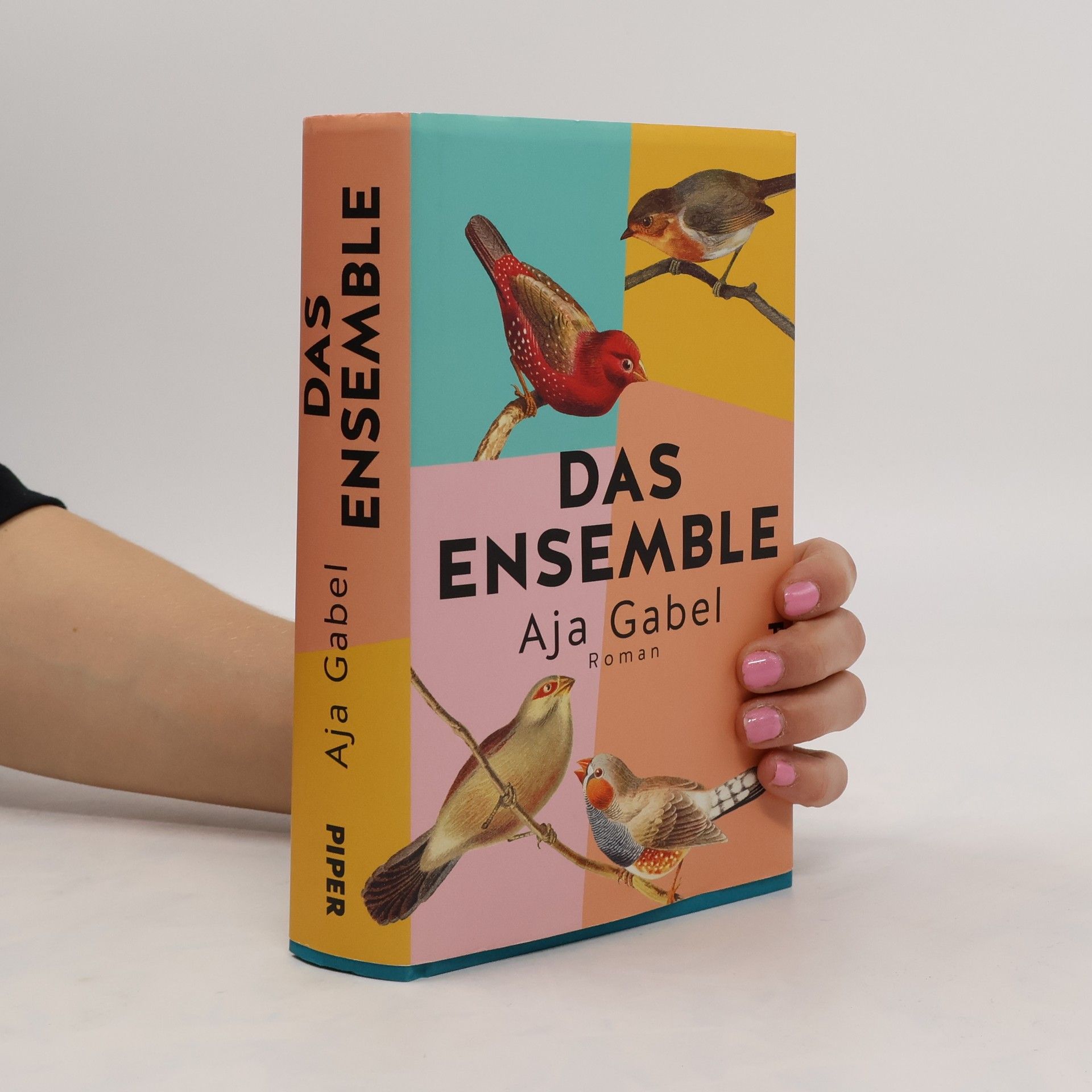 Aja Gabel Das Ensemble