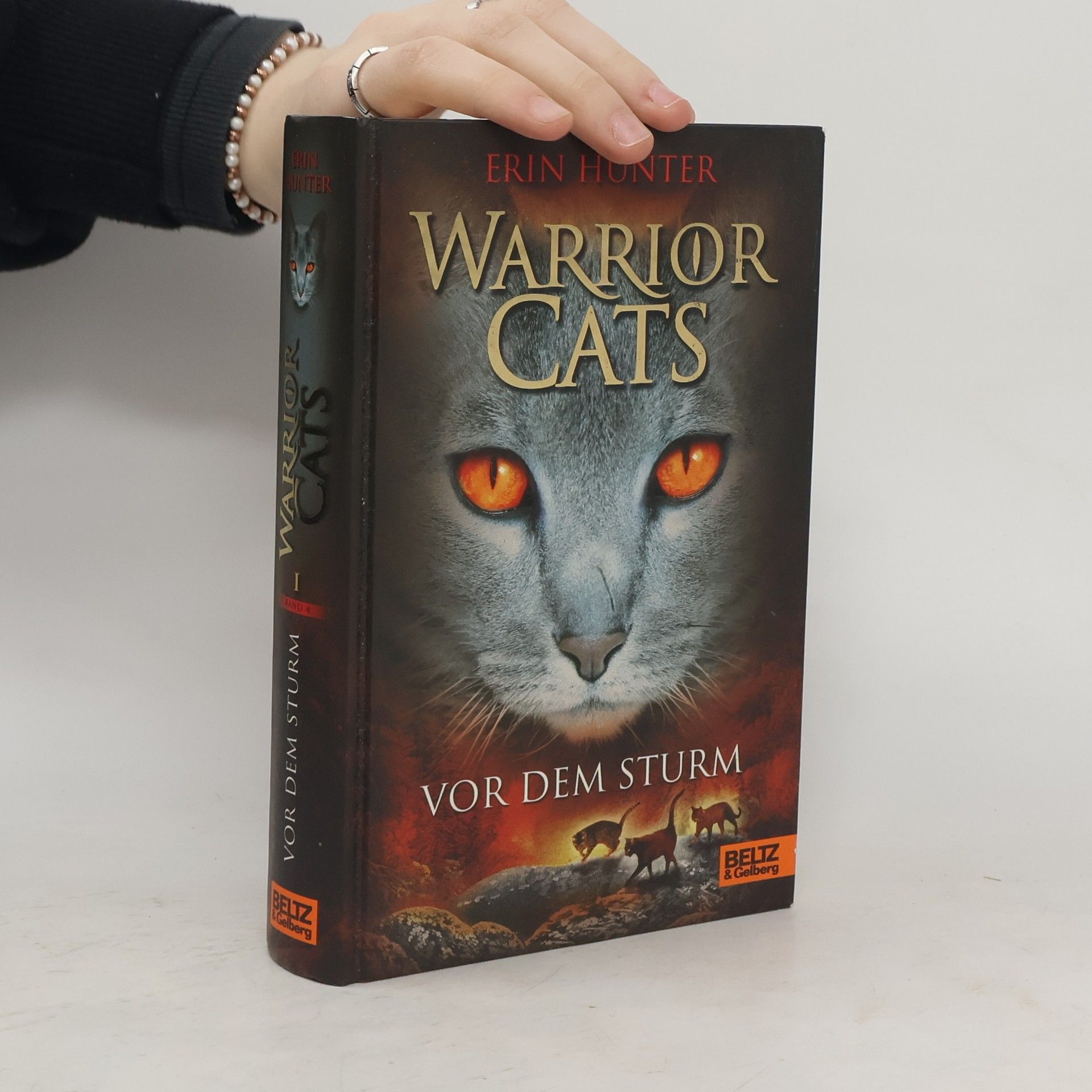 Erin Hunter Warrior cats. Vor dem Sturm