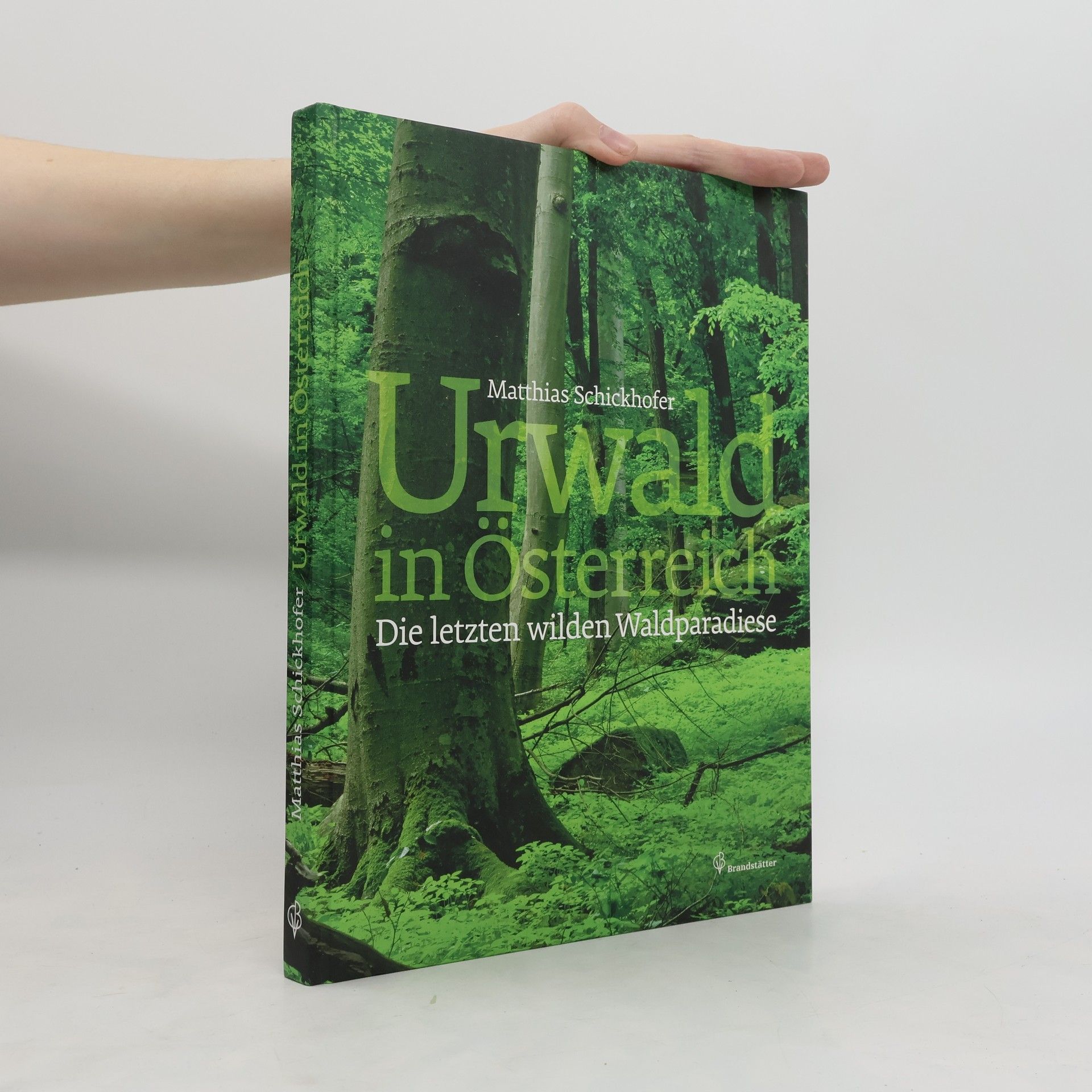 Matthias Schickhofer Urwald in Österreich