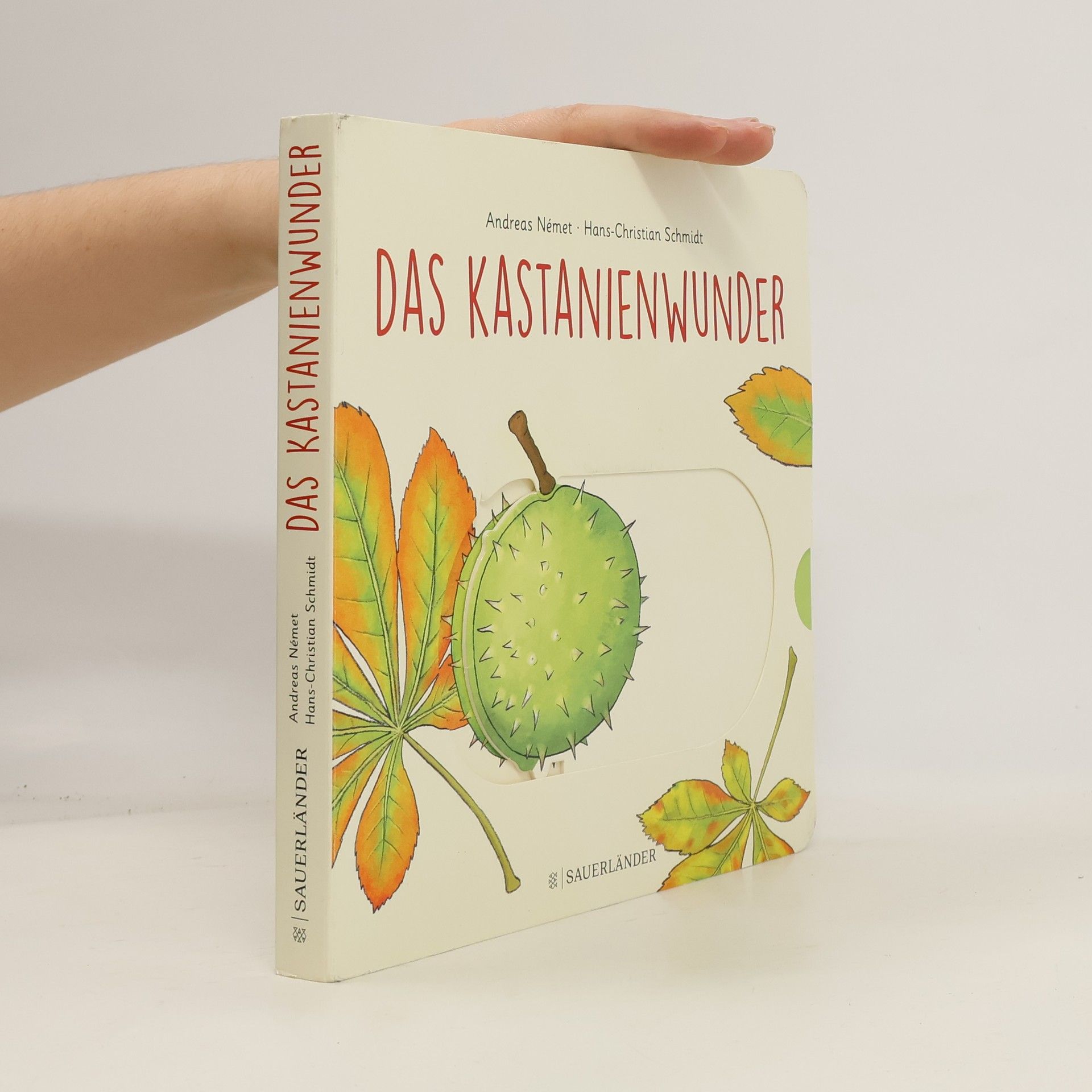 Hans-Christian Schmidt Das Kastanienwunder