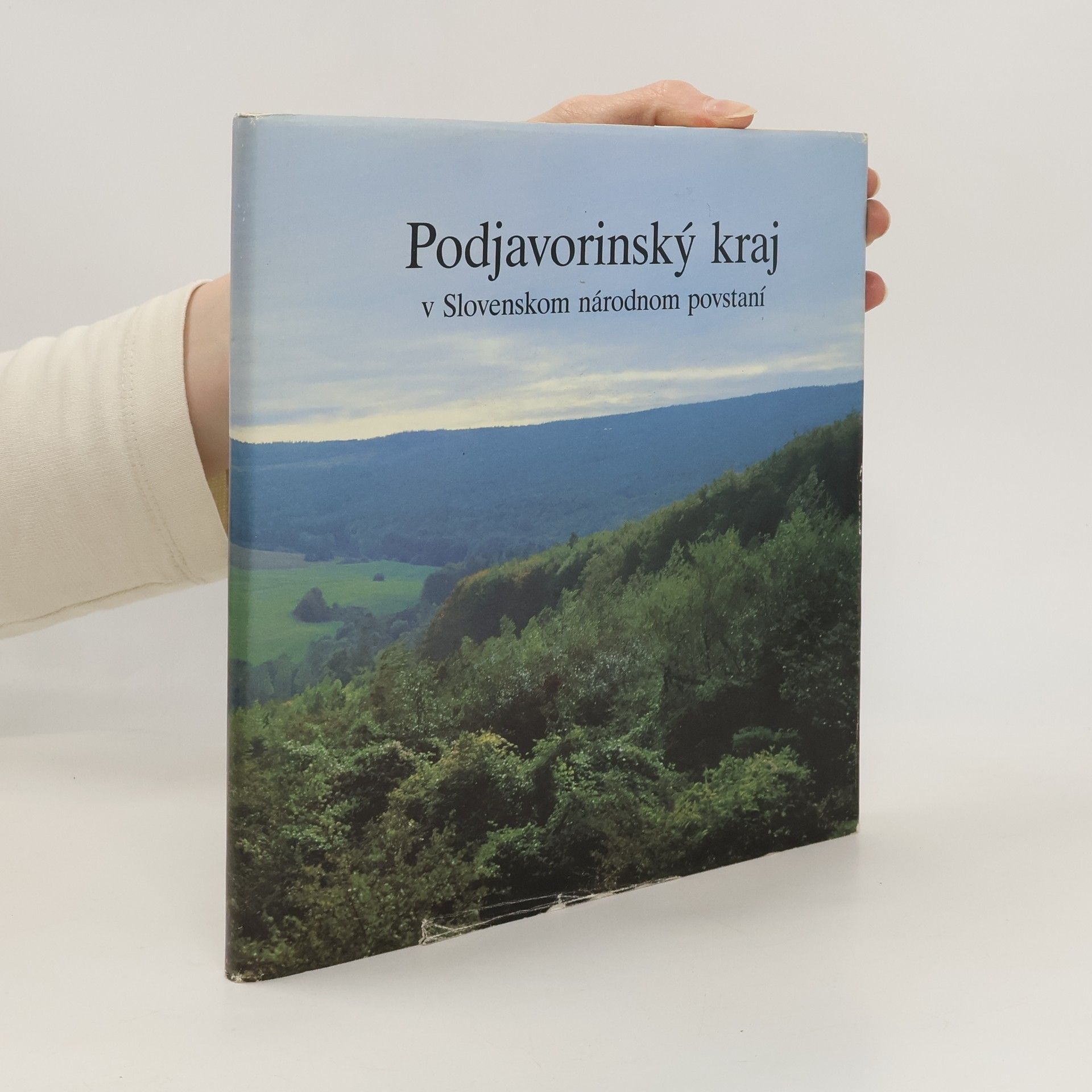 Autorenkollektiv Podjavorinský kraj v Slovenskom národnom povstaní