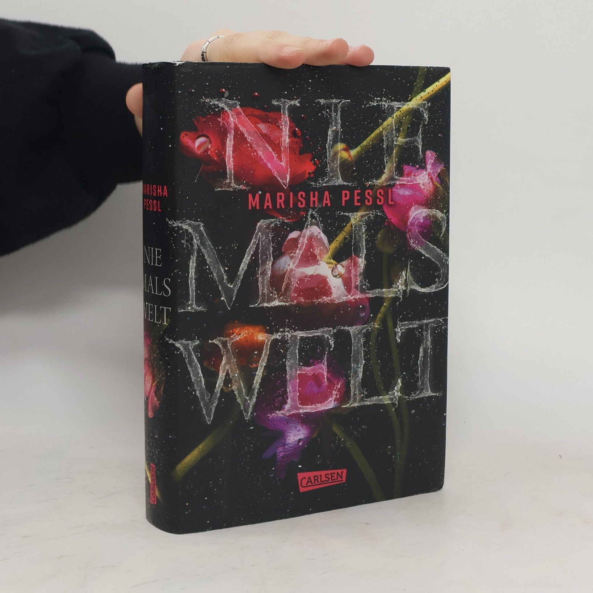 Marisha Pessl Niemalswelt