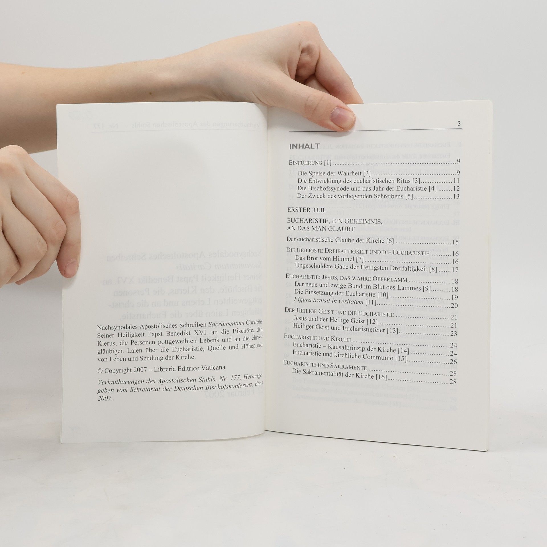Autorenkollektiv Verlautbarungen des Apostolischen Stuhls 177