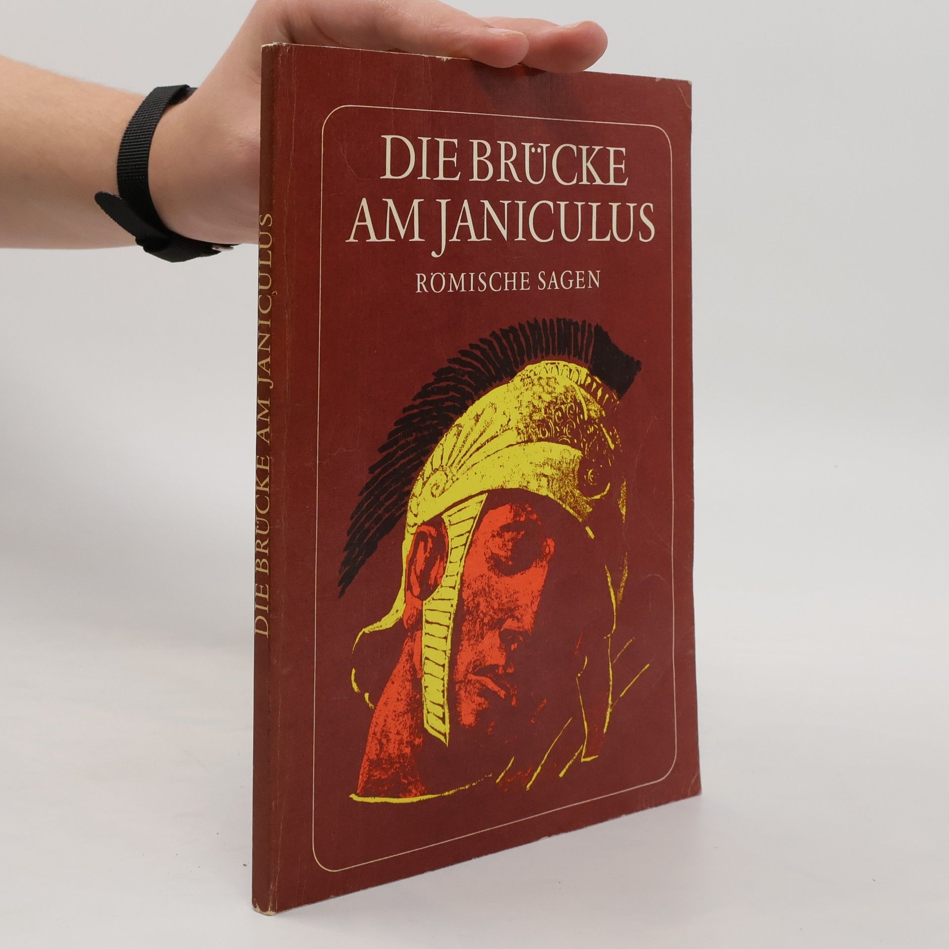 Autorenkollektiv Die Brücke am Janiculus