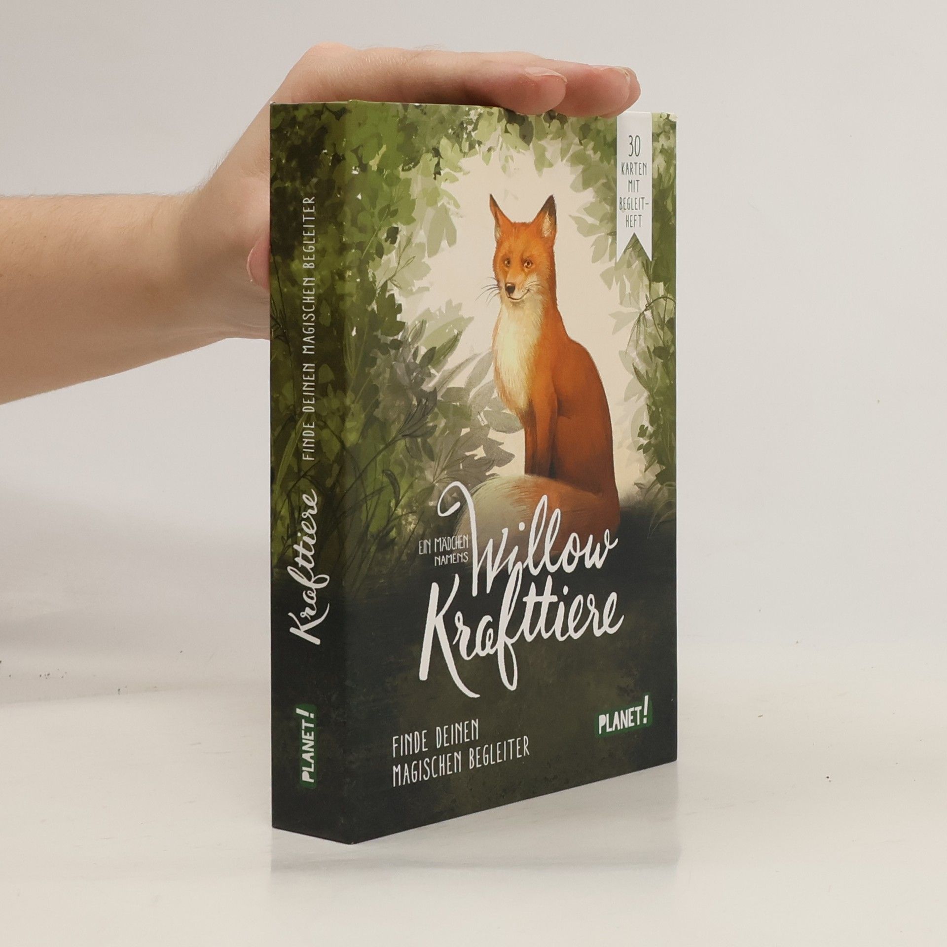 Sabine Bohlmann Ein Mädchen namens Willow: Krafttiere