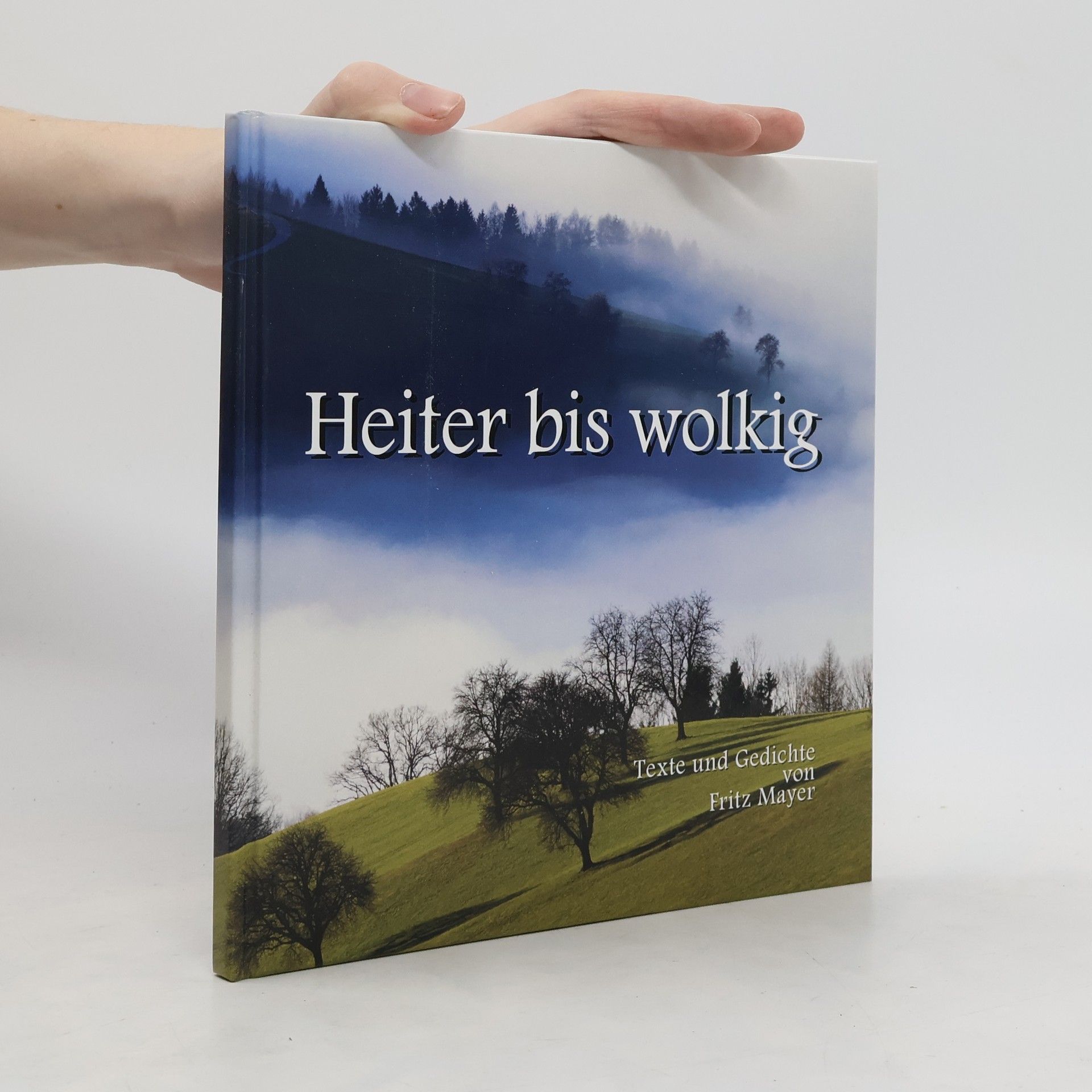 Fritz Mayer Heiter bis Wolkig
