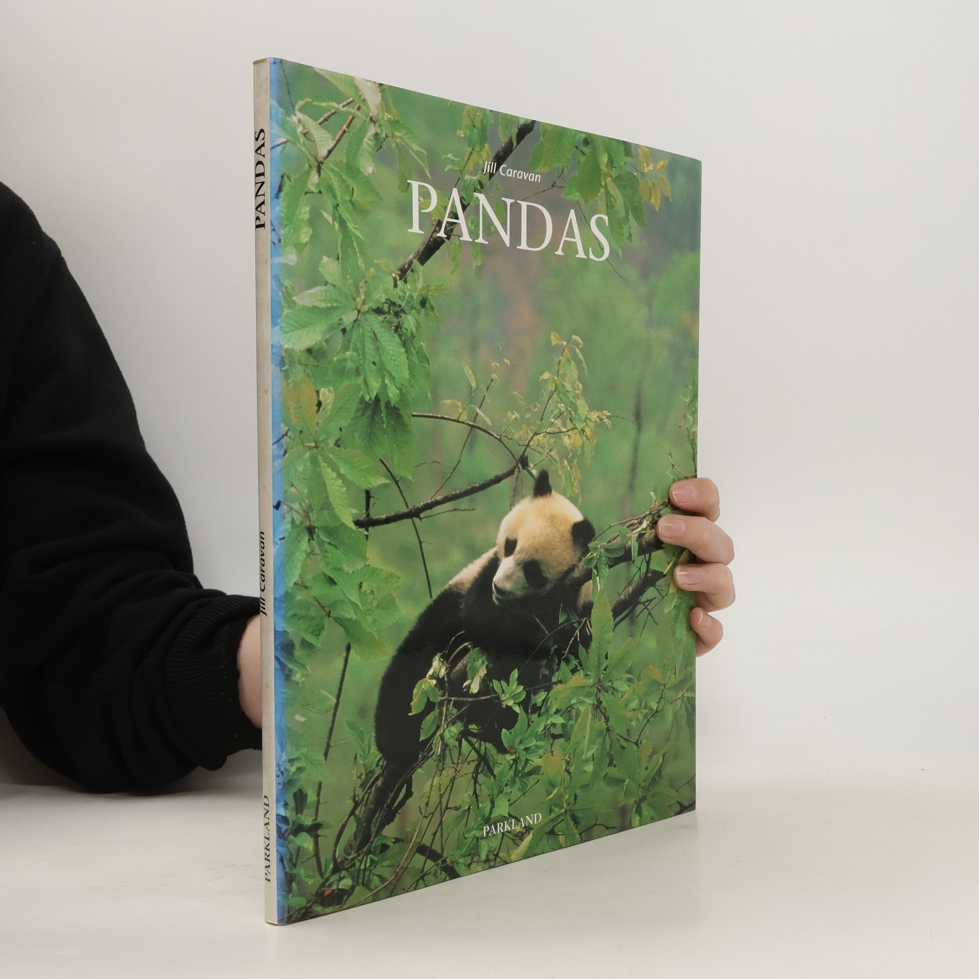 Jill Caravan Pandas