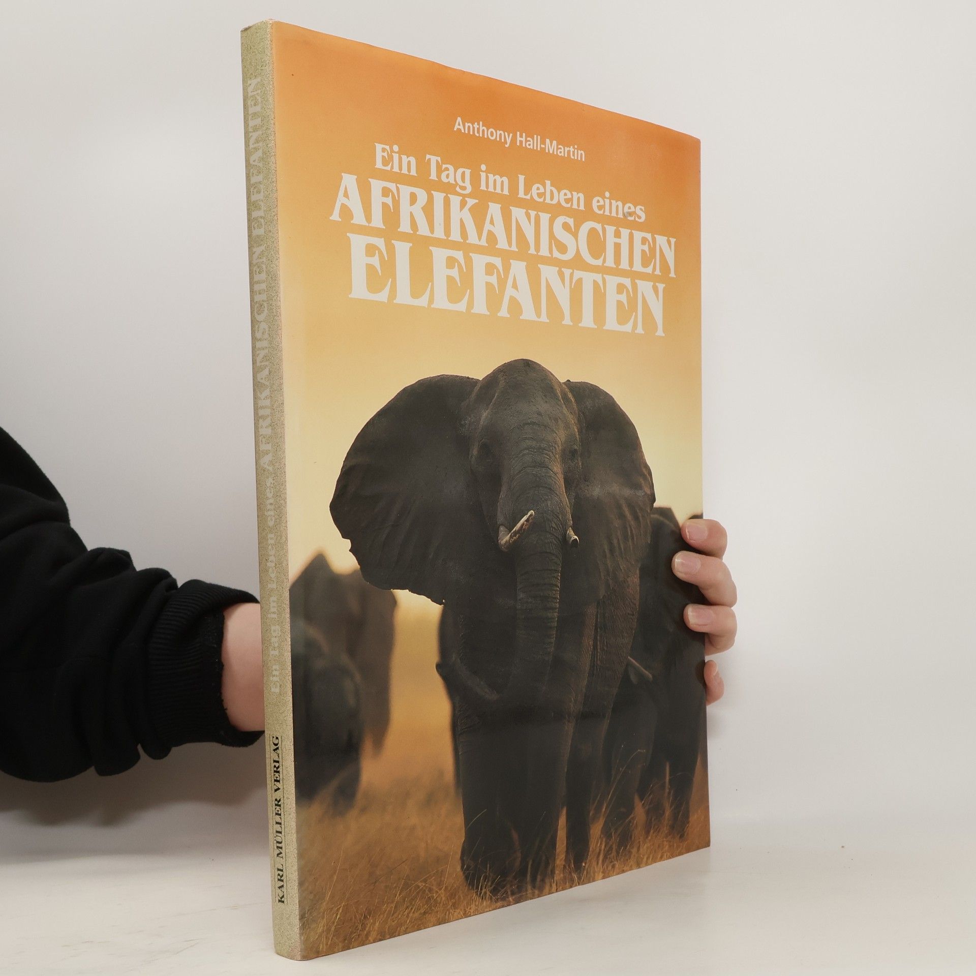 Martin Hall Ein Tag im Leben eines afrikanischen Elefanten