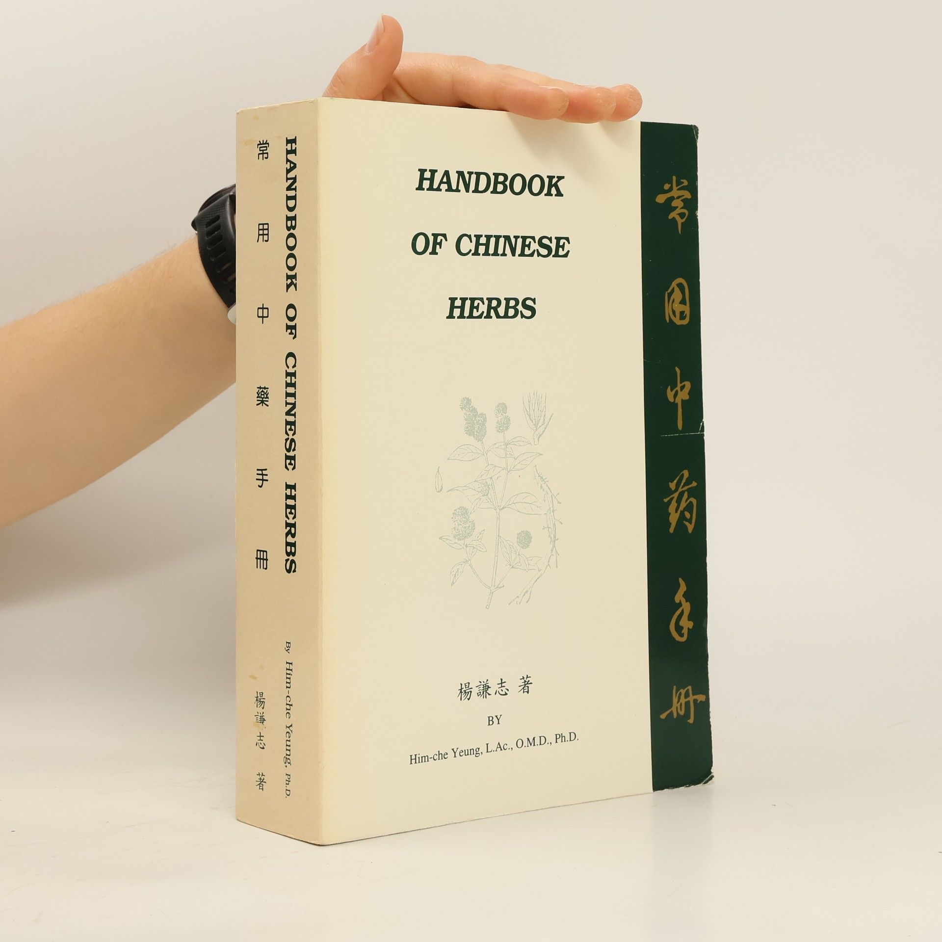 Chang Yong Zhong Yao Shou Ce