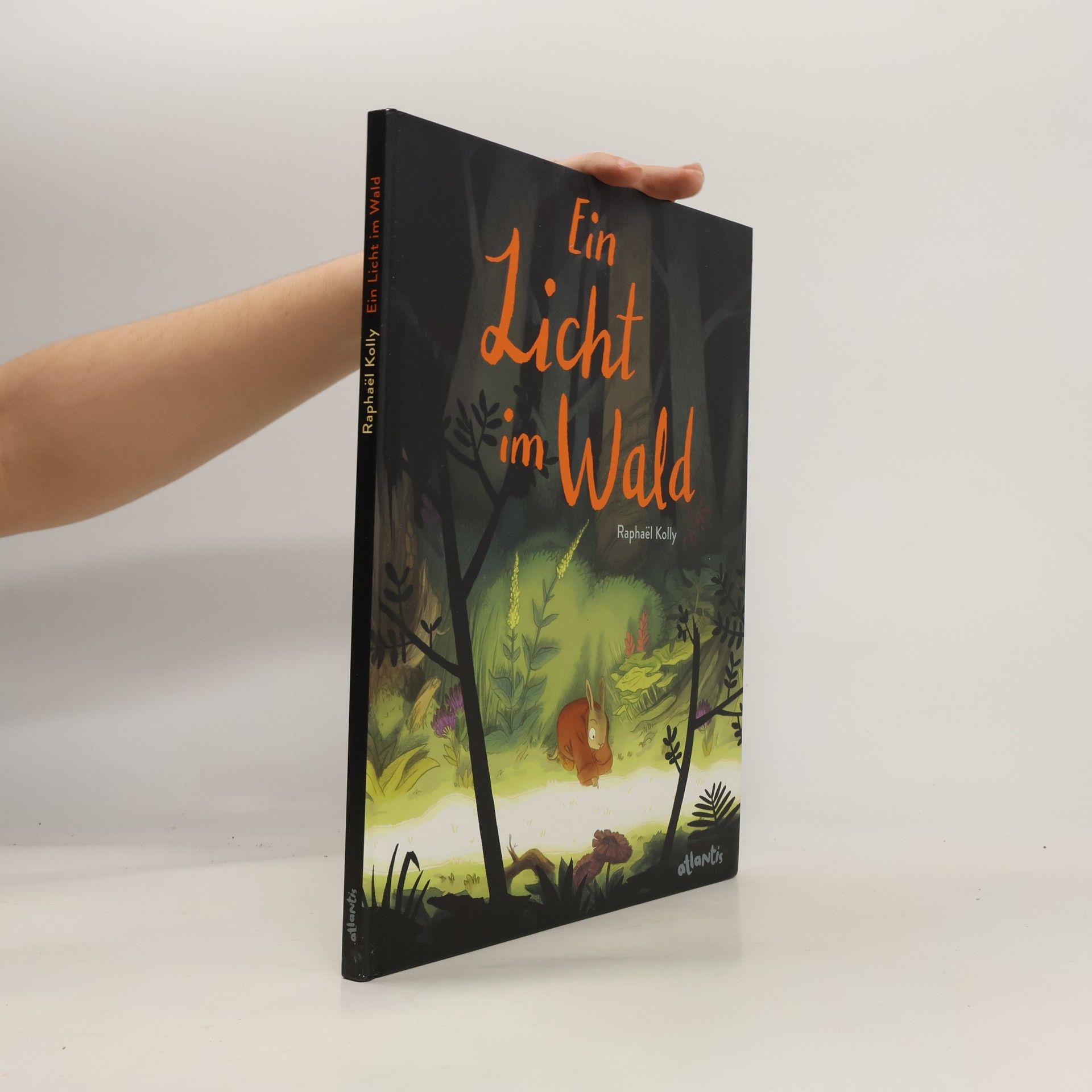 Raphae¨l Kolly Ein Licht im Wald