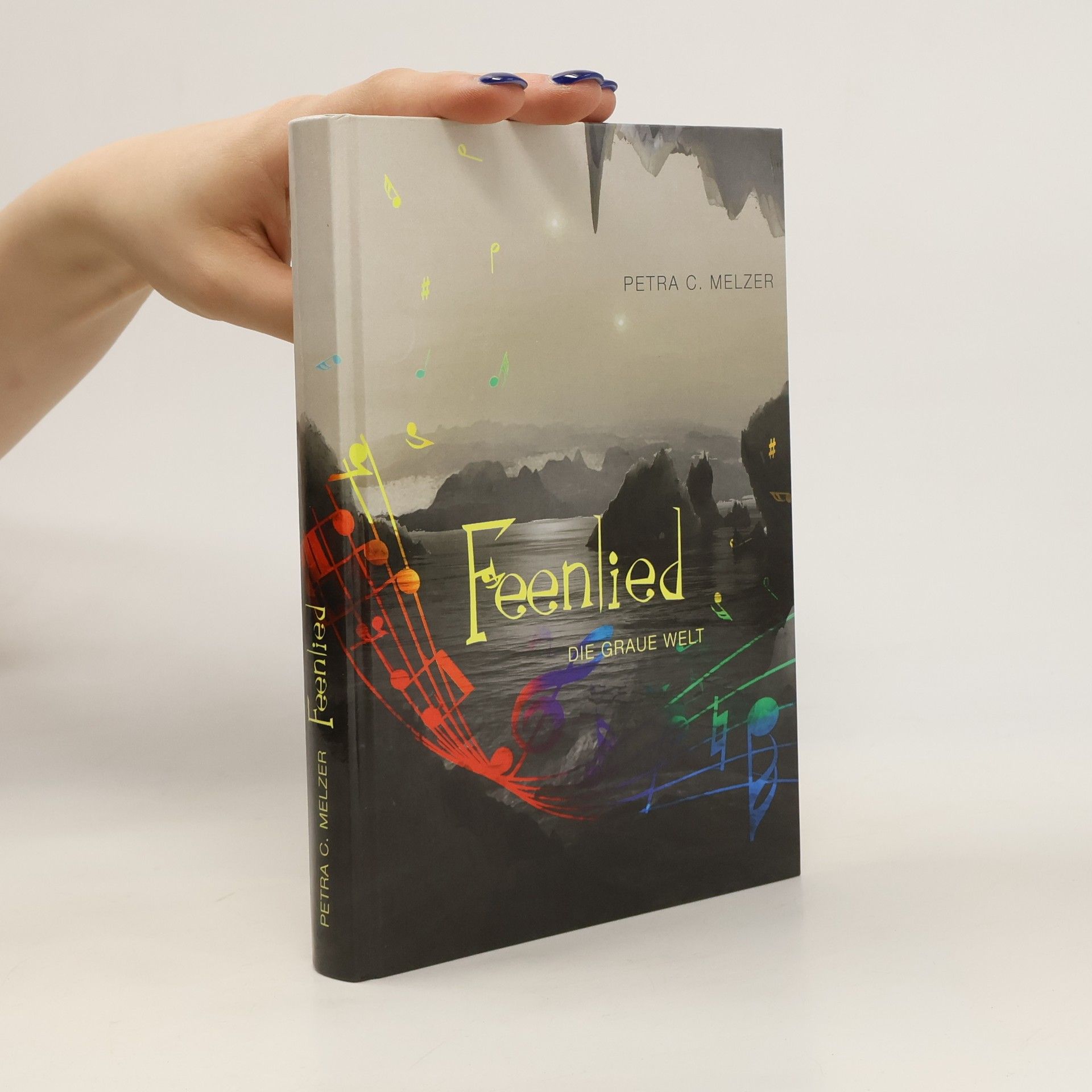 Petra C. Melzer Feenlied. Die graue Welt