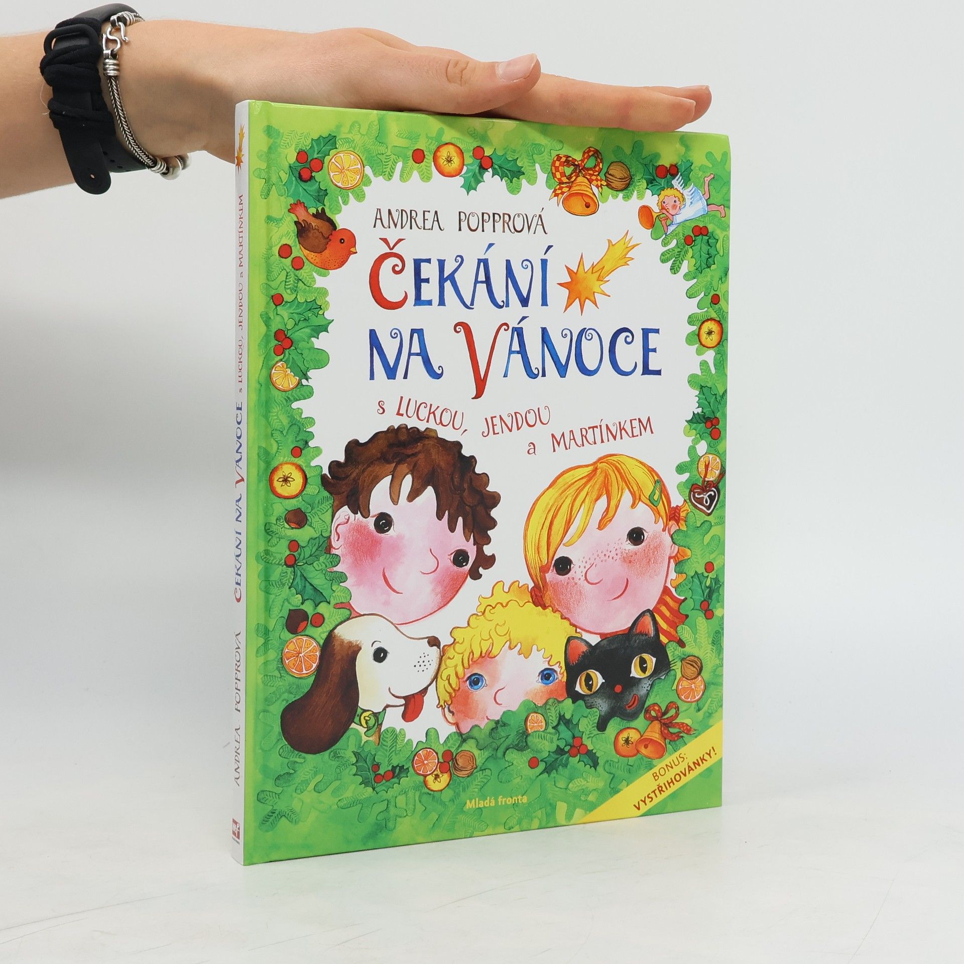Andrea Popprová Čekání na Vánoce s Luckou, Jendou a Martínkem