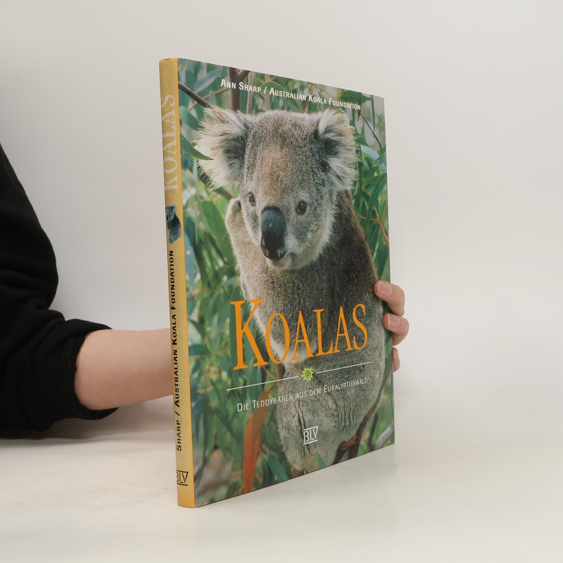 Ann Sharp Koalas