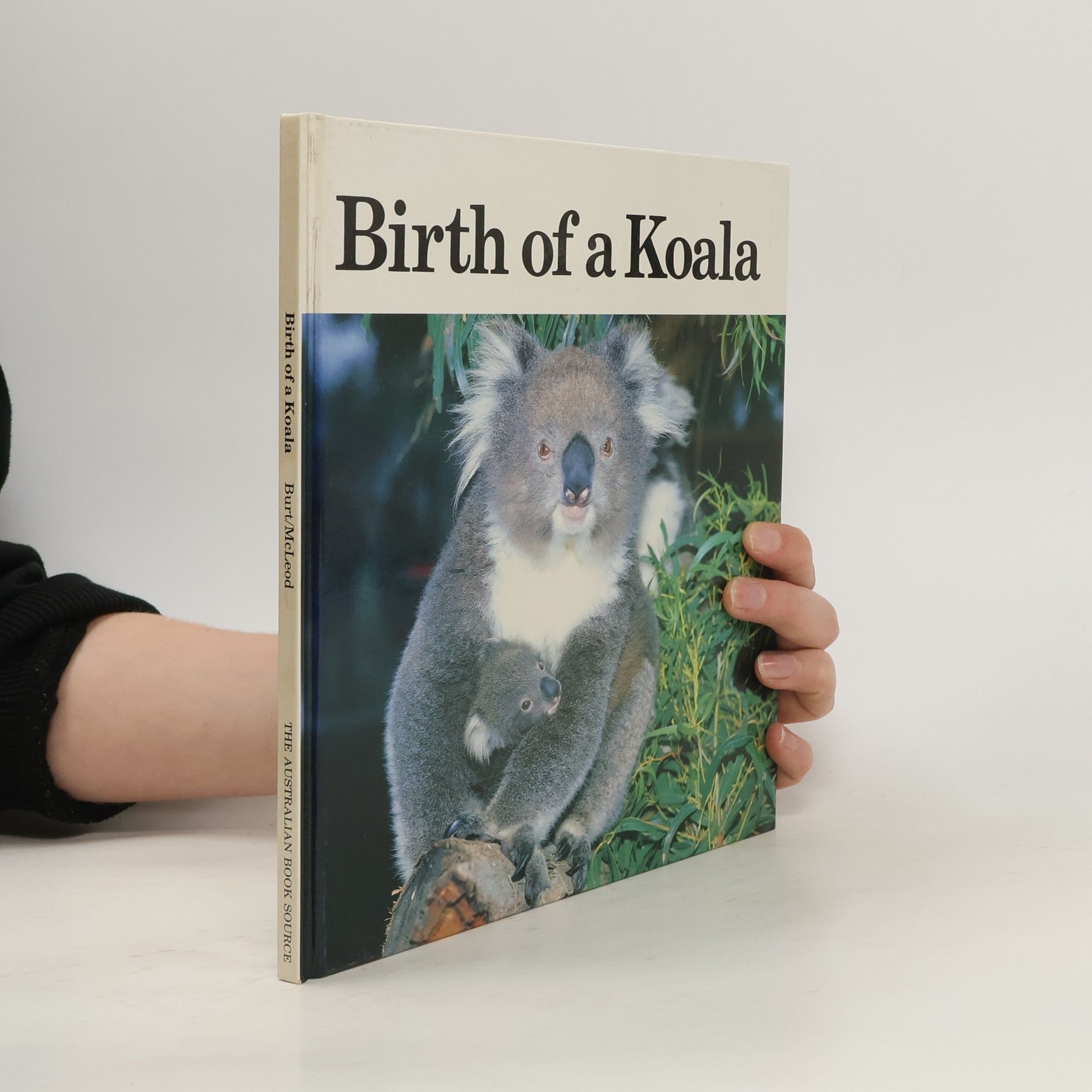 Denise Burt Birth of a Koala