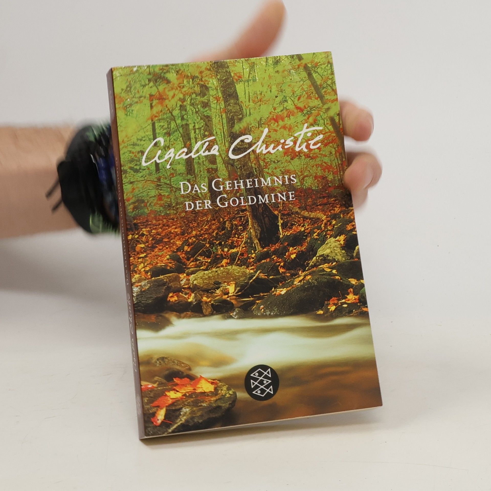 Agatha Christie Das Geheimnis der Goldmine