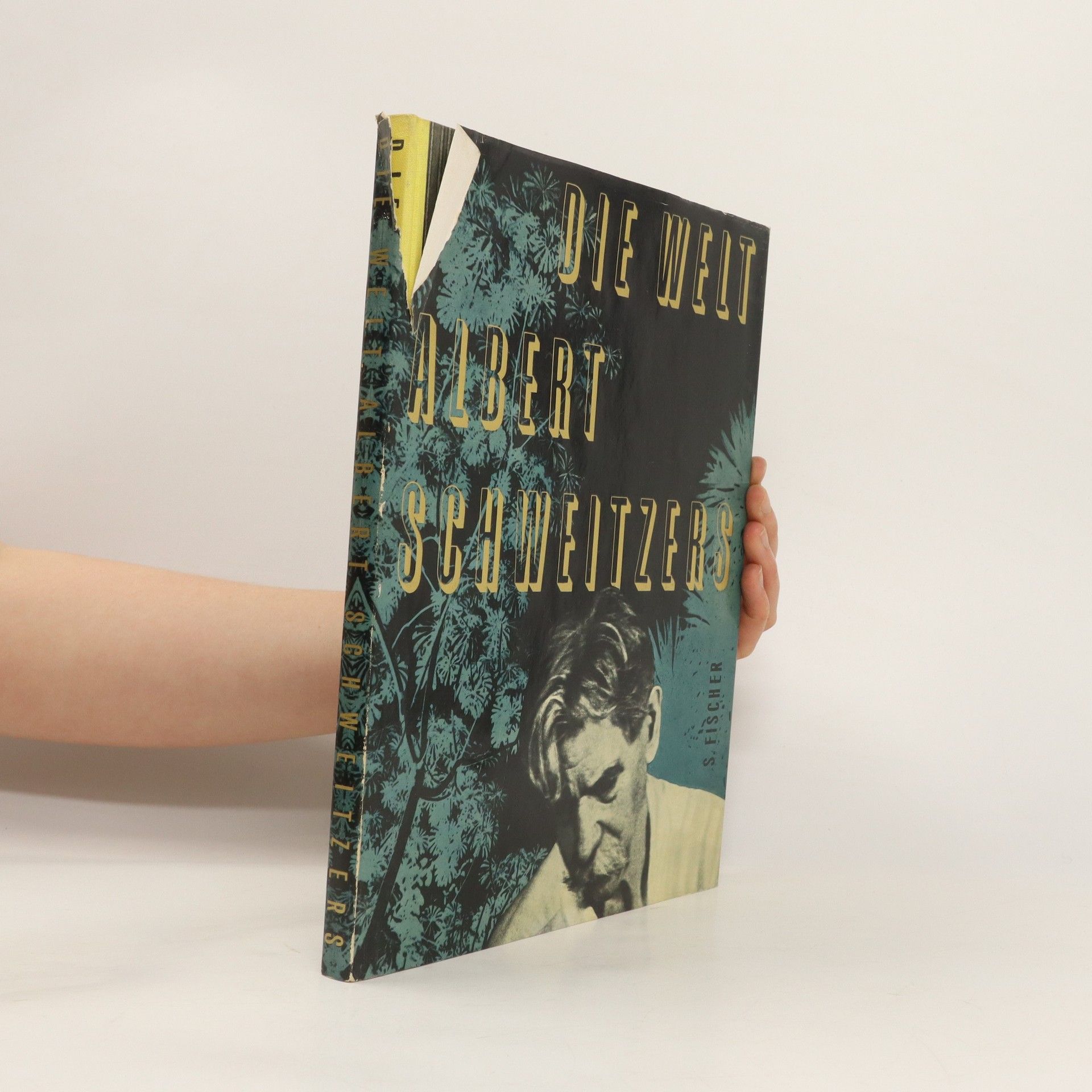 Collectif d'auteurs Die Welt Albert Schweitzers