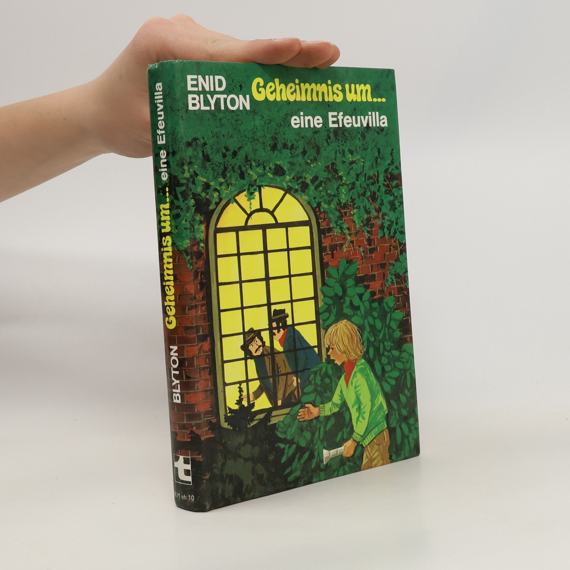 Enid Blyton Geheimnis um eine Efeuvilla