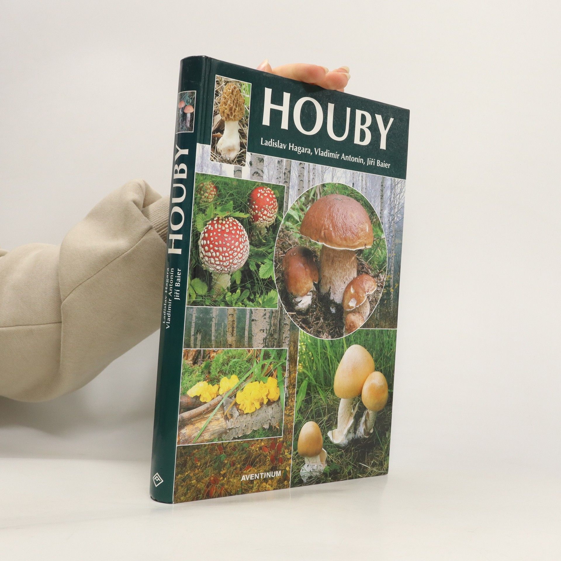 Ladislav Hagara Houby