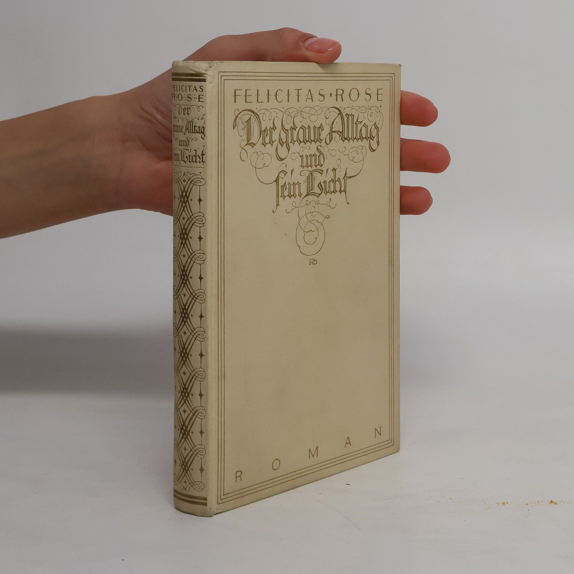 Kolektiv autorů Der graue Alttag und sein Licht