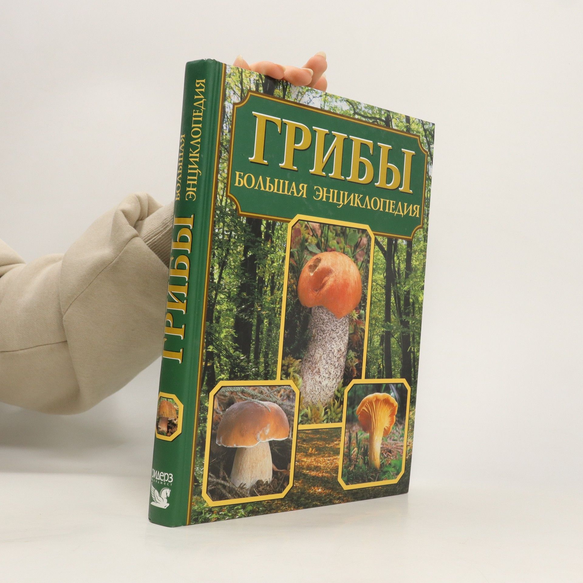 Autorenkollektiv Грибы. Большая энциклопедия