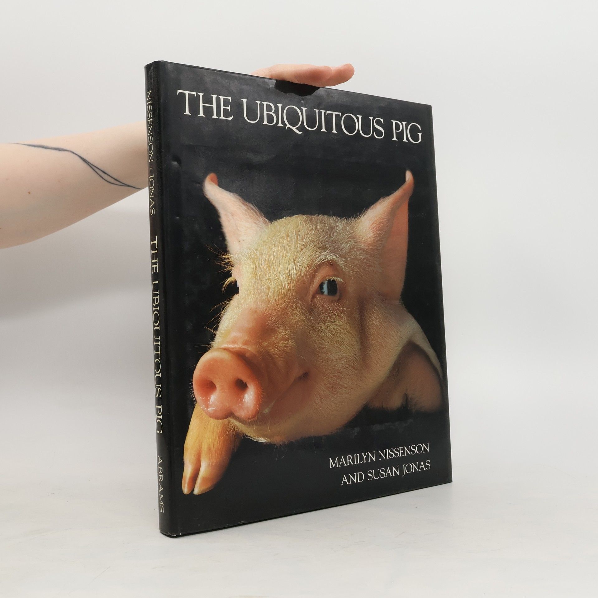 Marilyn Nissenson The Ubiquitous Pig