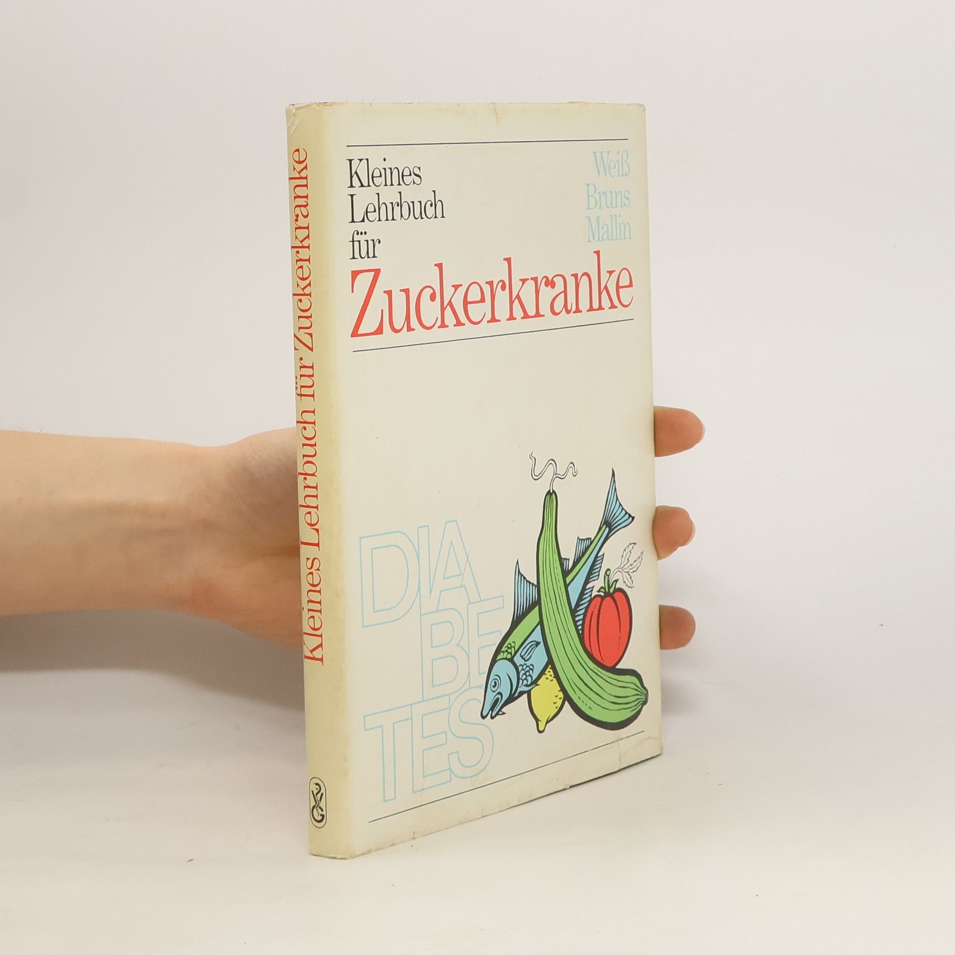Autorenkollektiv Kleines Lehrbuch für Zuckerkranke